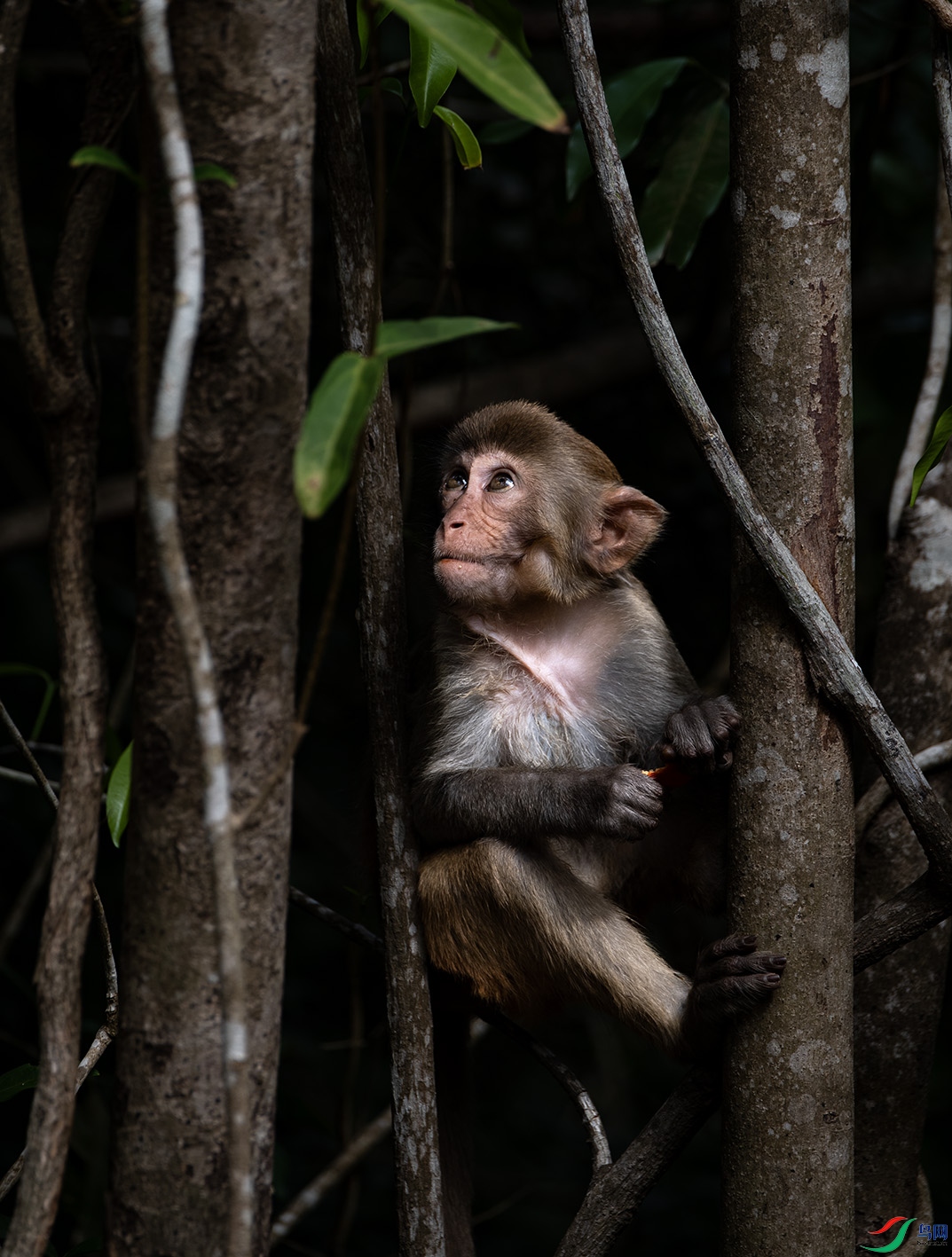 _DSC7752 ����.jpg