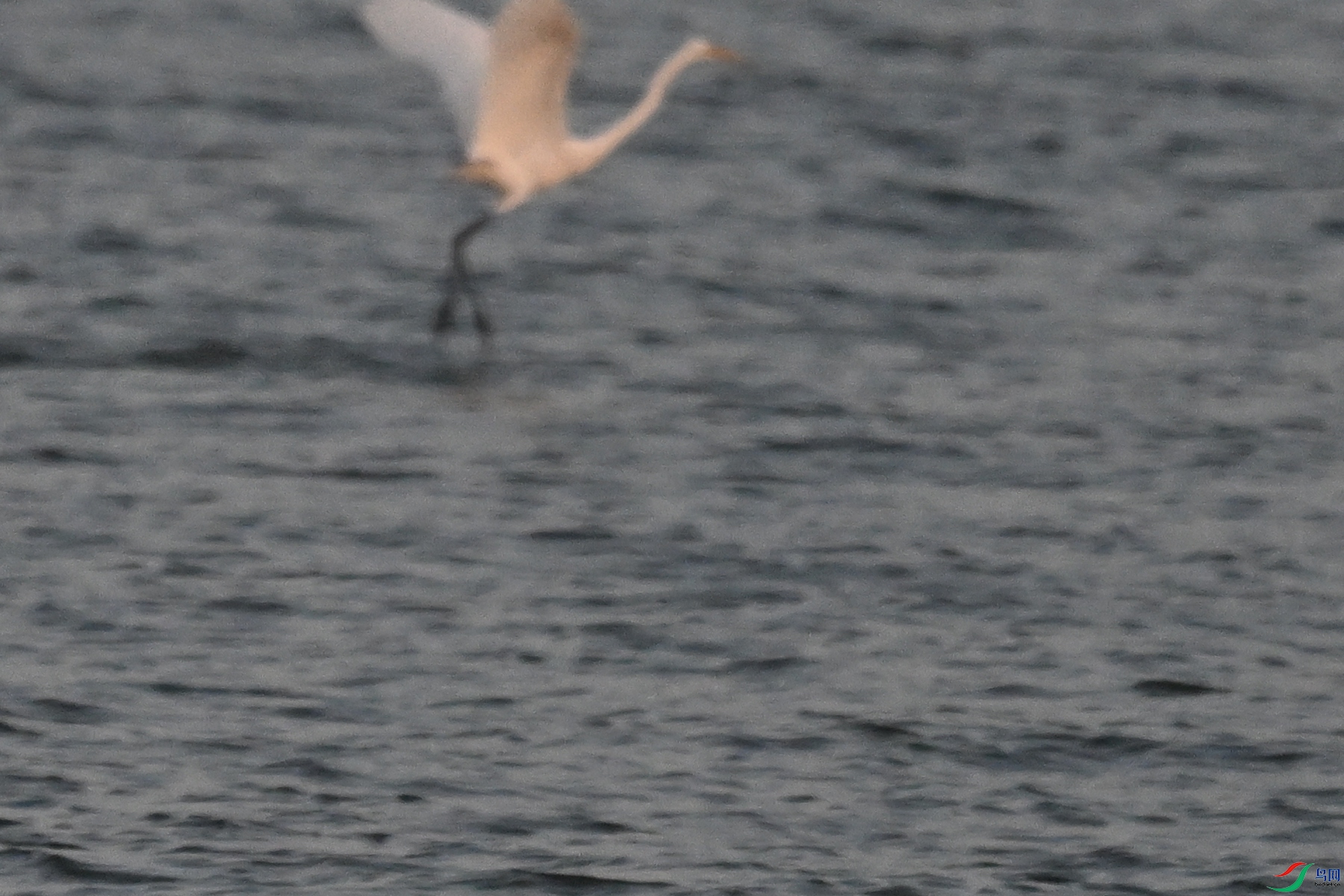 DSC_7751.JPG