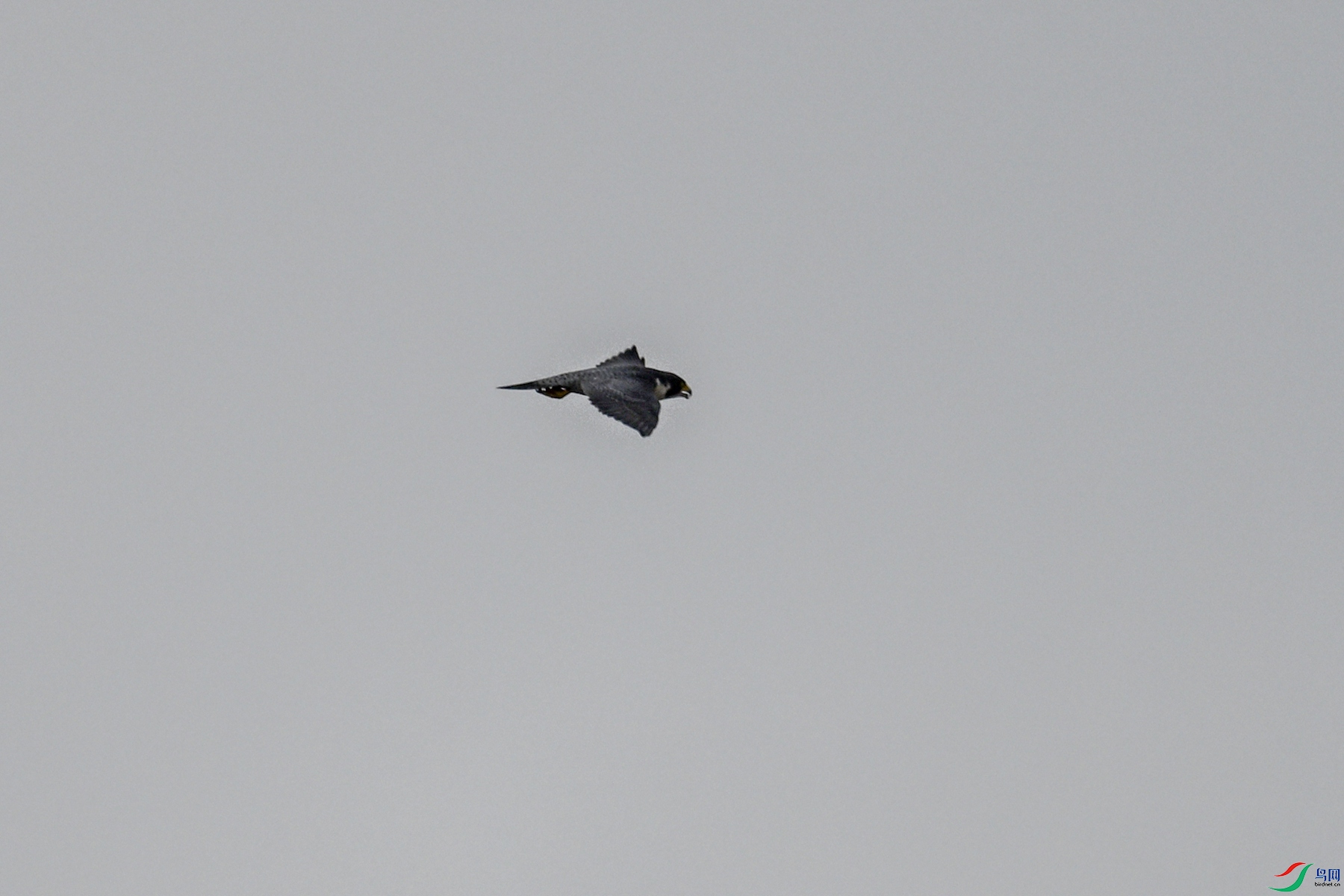DSC_7792.JPG