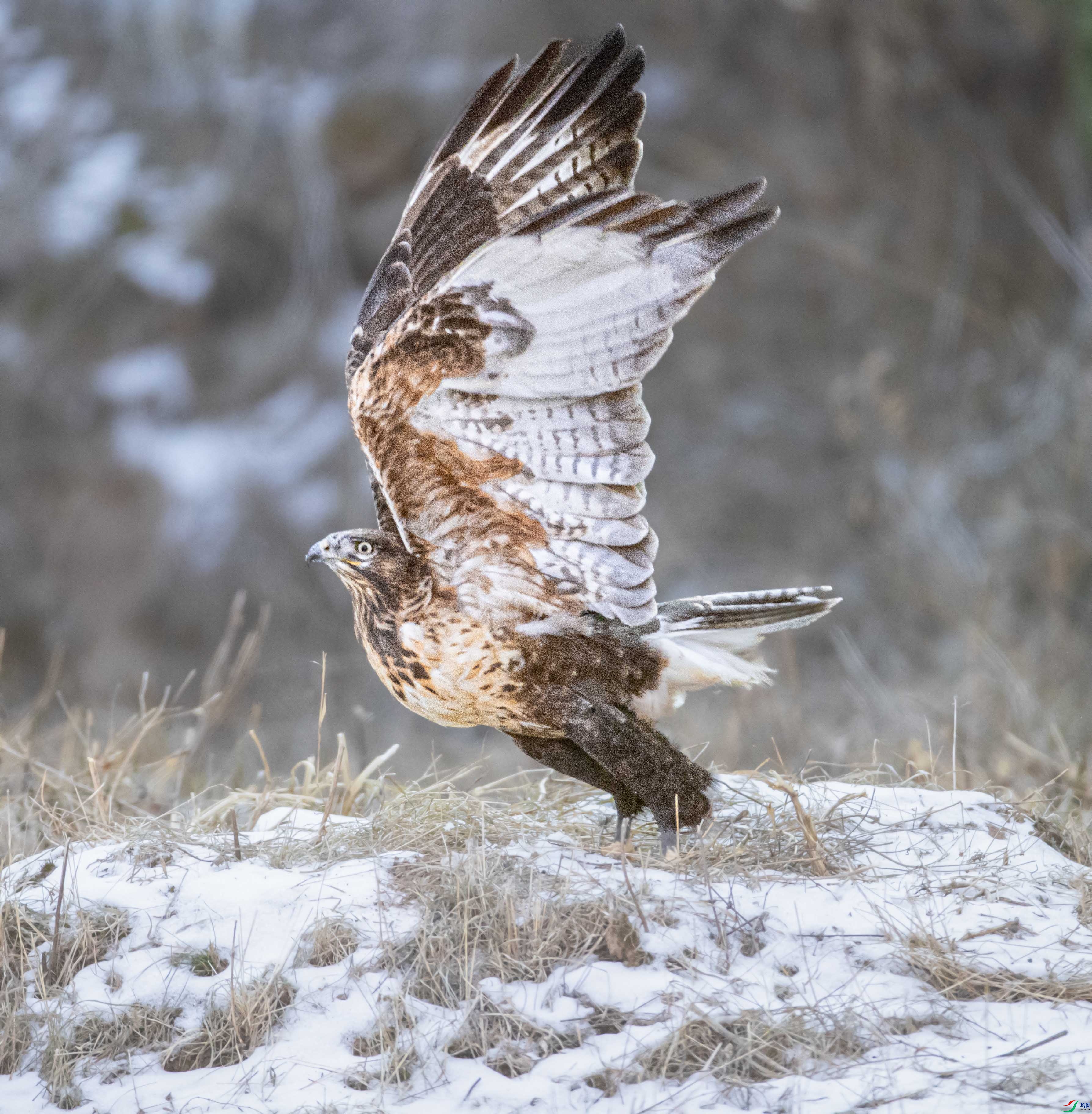 A79I4055 ����.jpg