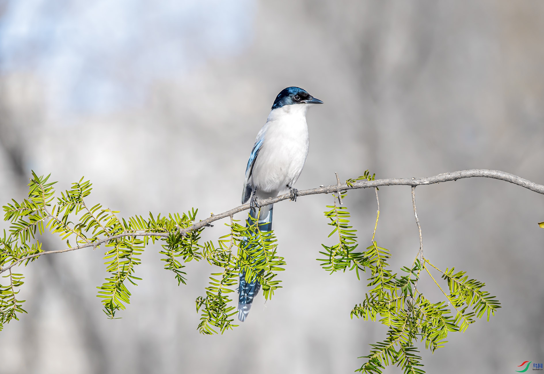 DSC_9921_��ͼ�� ����.jpg