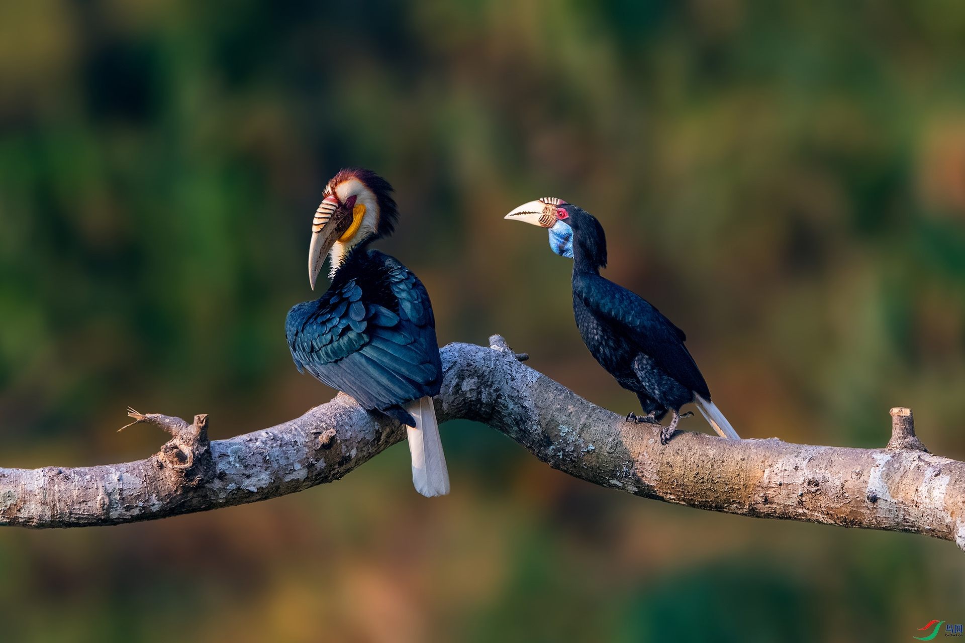 _AUU8628�簲(24.2.22).jpg