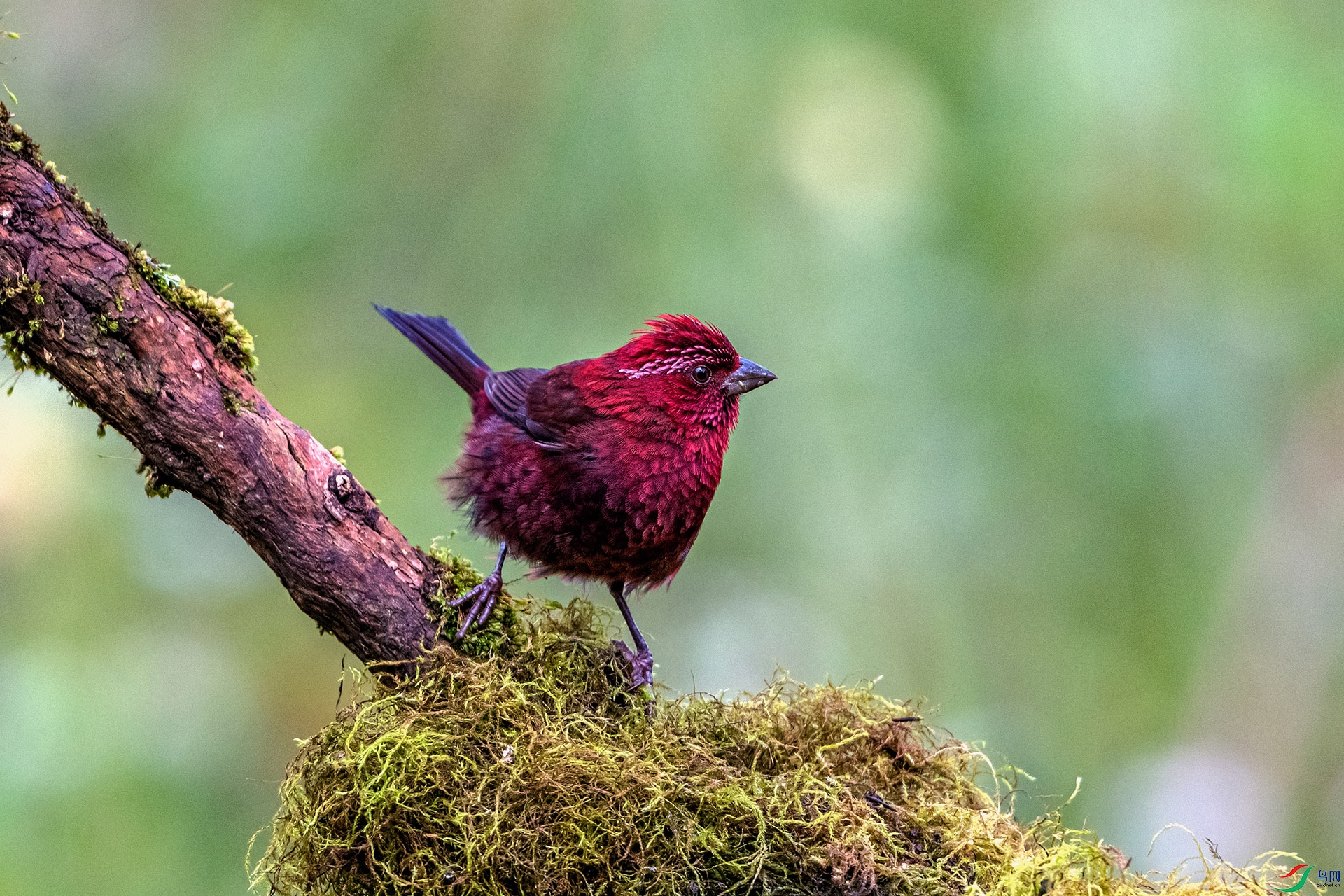 _AUU8702 �ƺ����(25.8.26).jpg