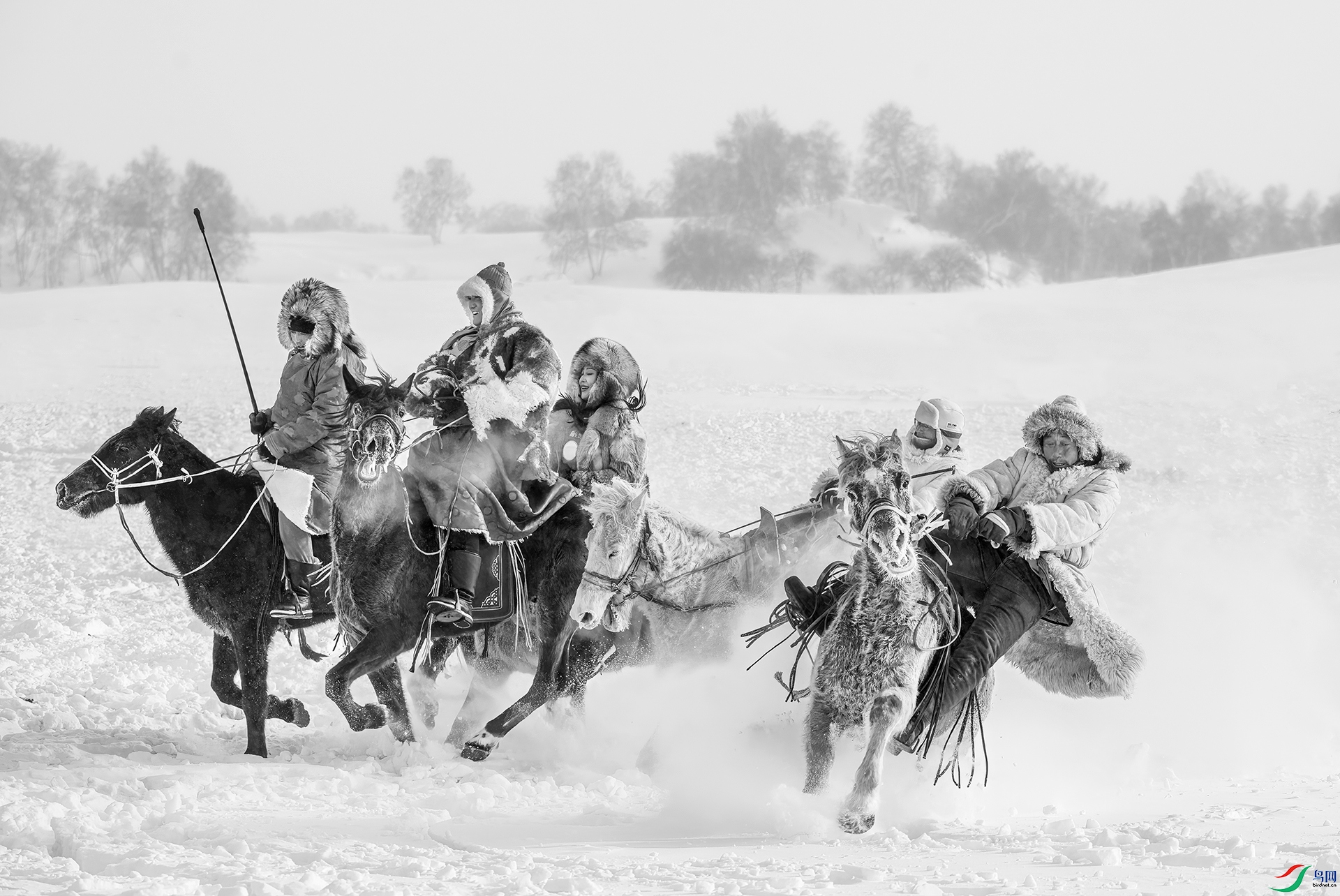 DSC_8544 - ���ֵ�������.jpg