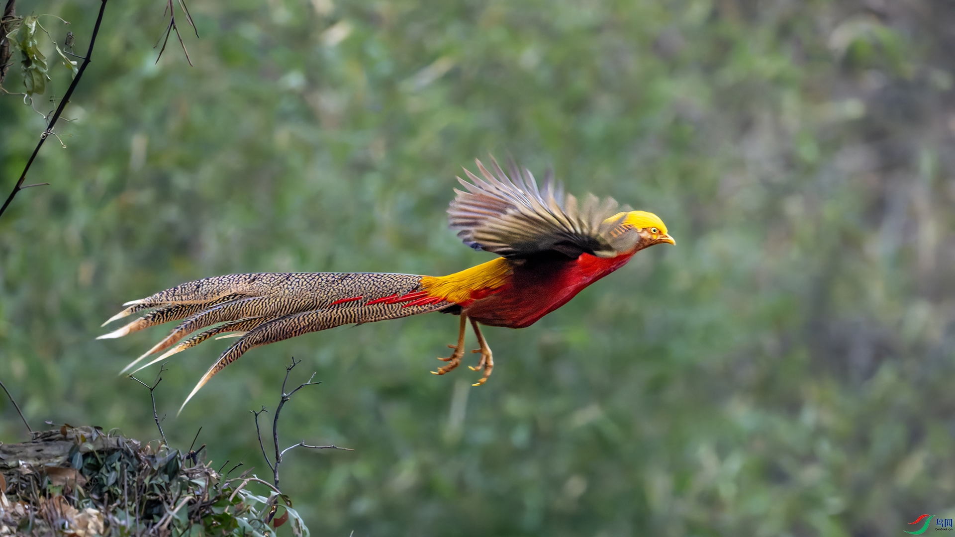 _CYG6931-DxO_DeepPRIME XD2s_XD ����11.jpg