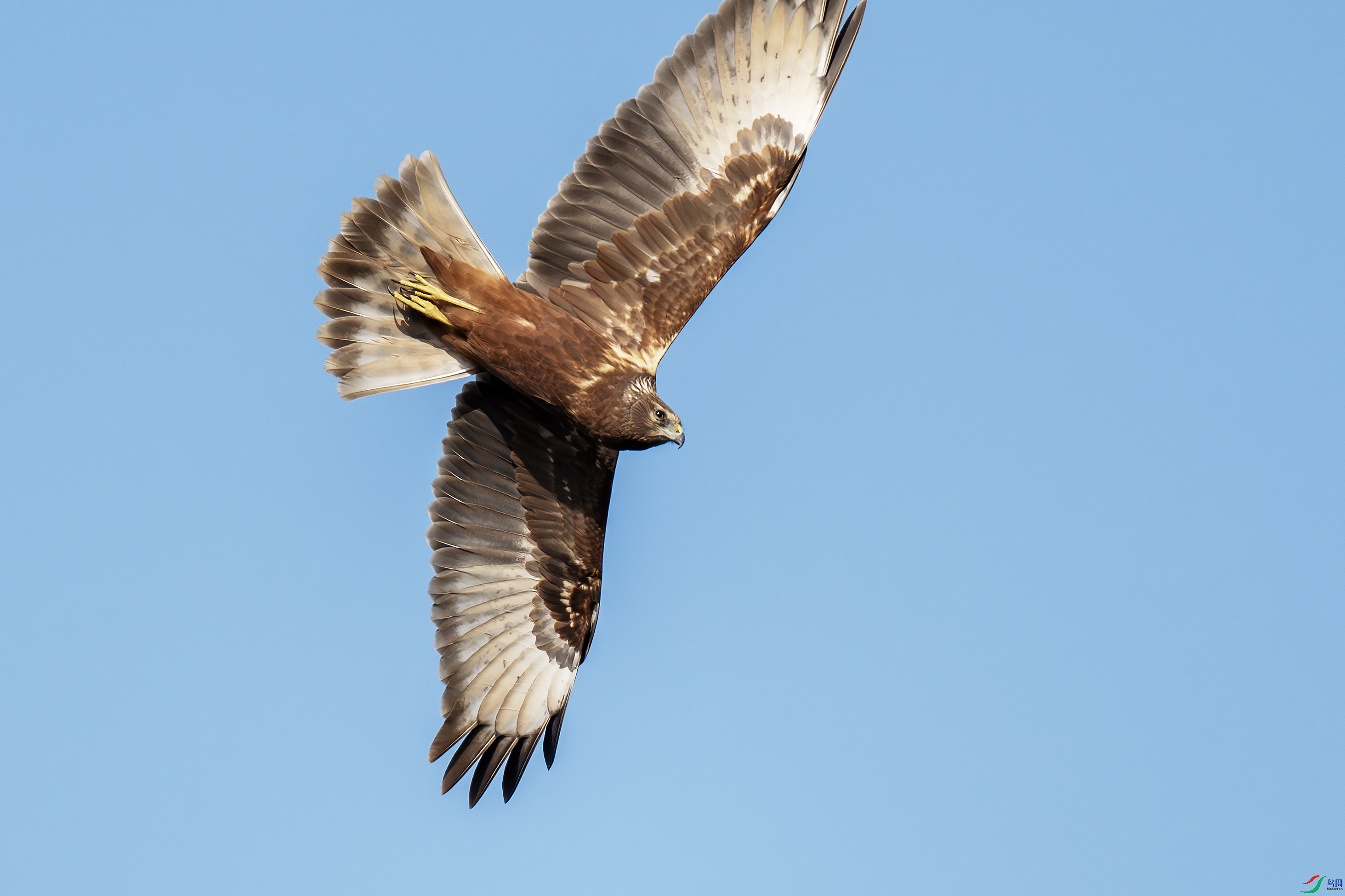 DSC_7840-����.jpg