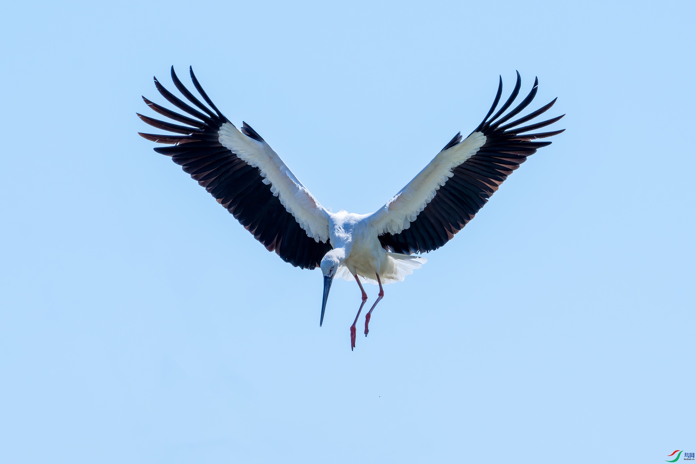 DSC08248-����ǿ-NR ����.jpg