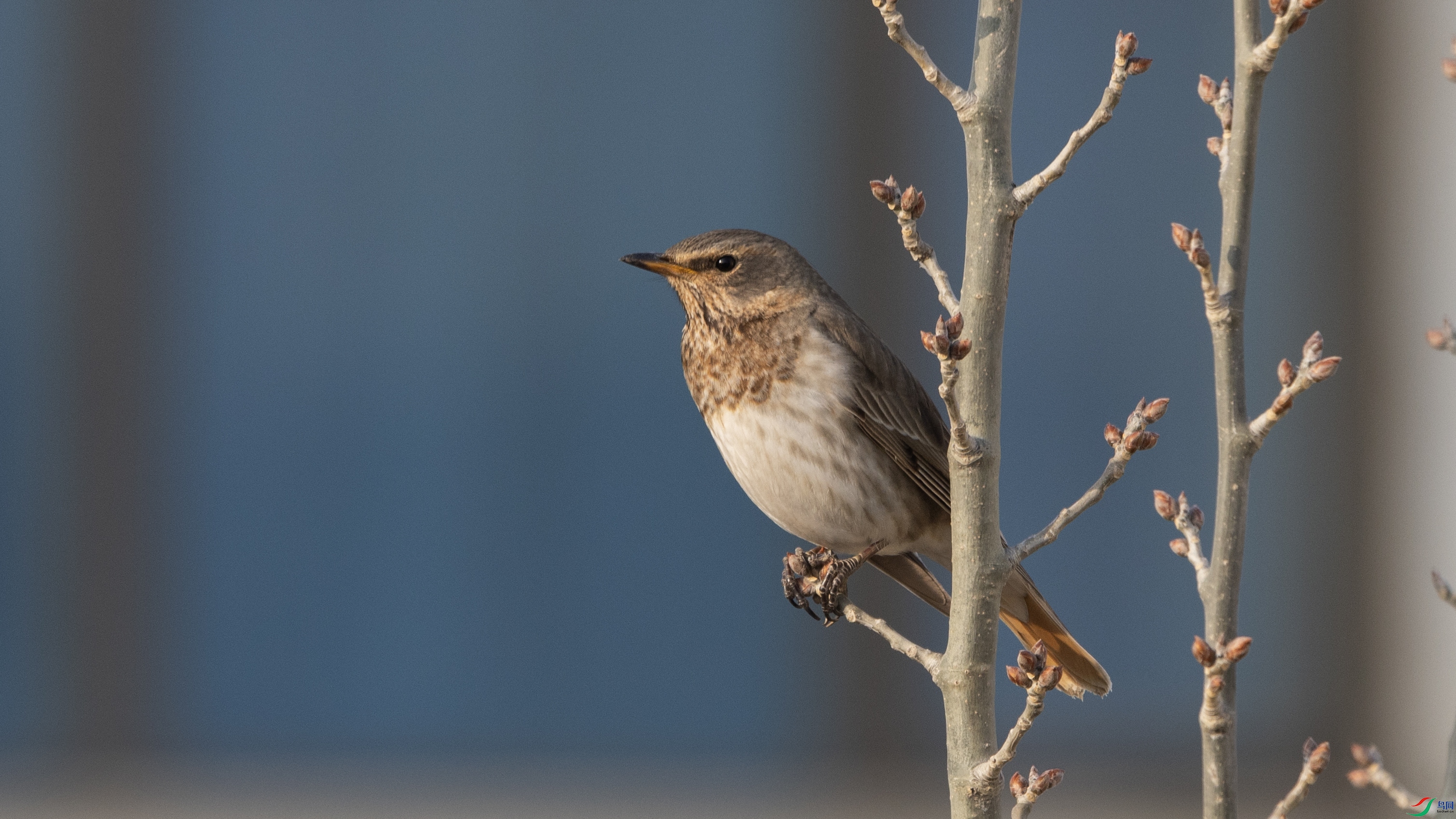 _O7A9168 ����.jpg