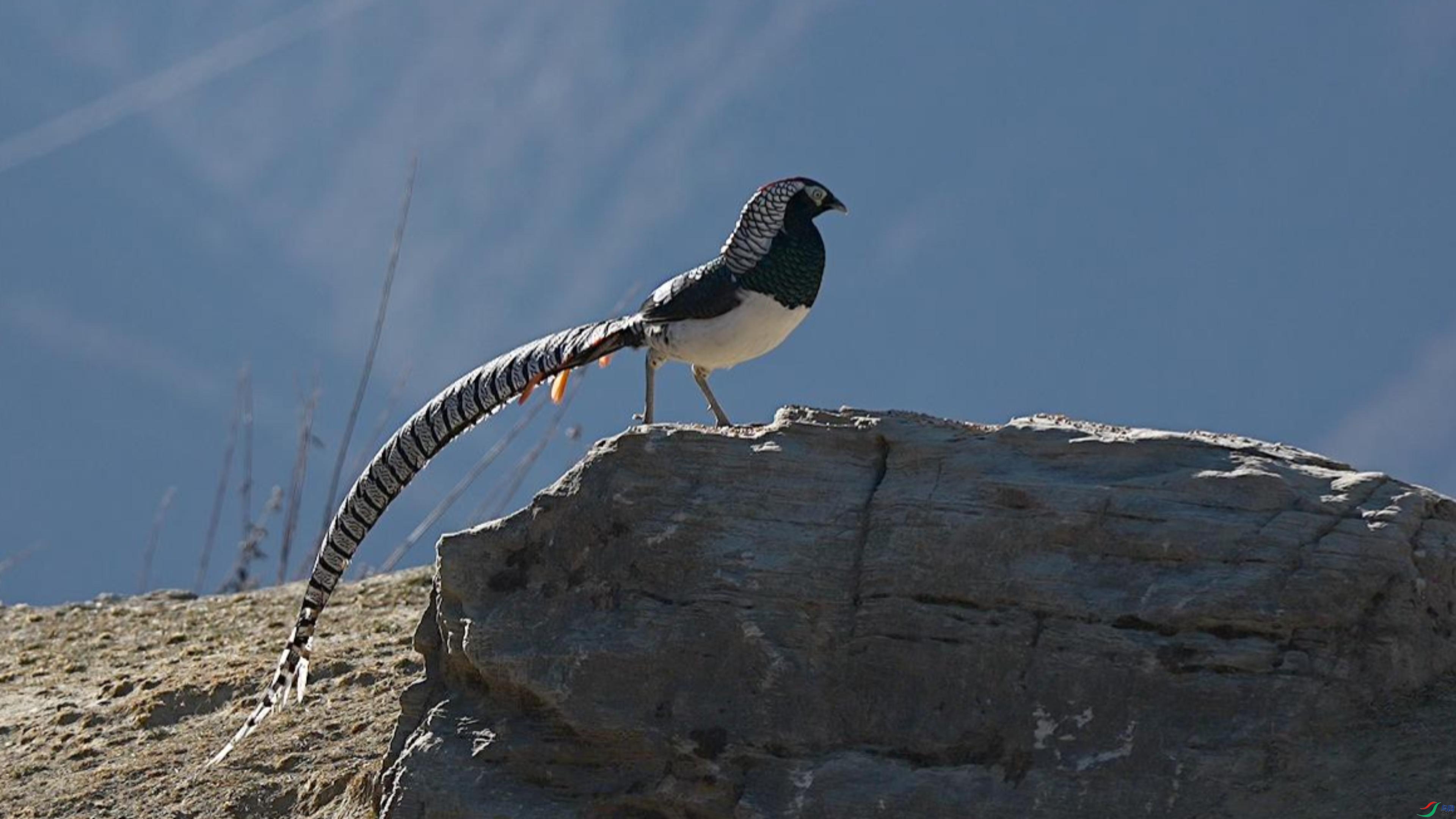 1��5�� (1)-����.jpg