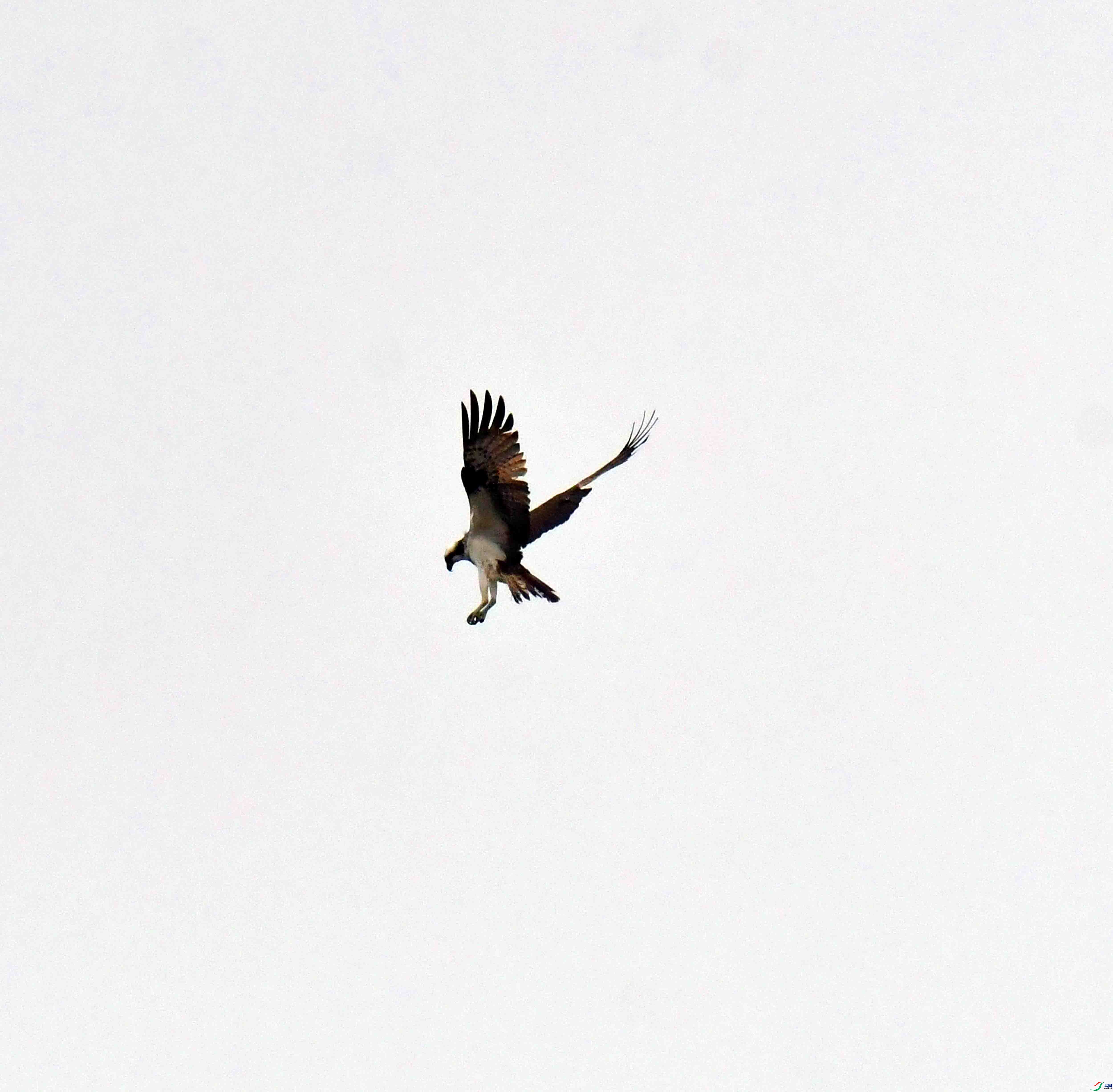DSC_9572.JPG