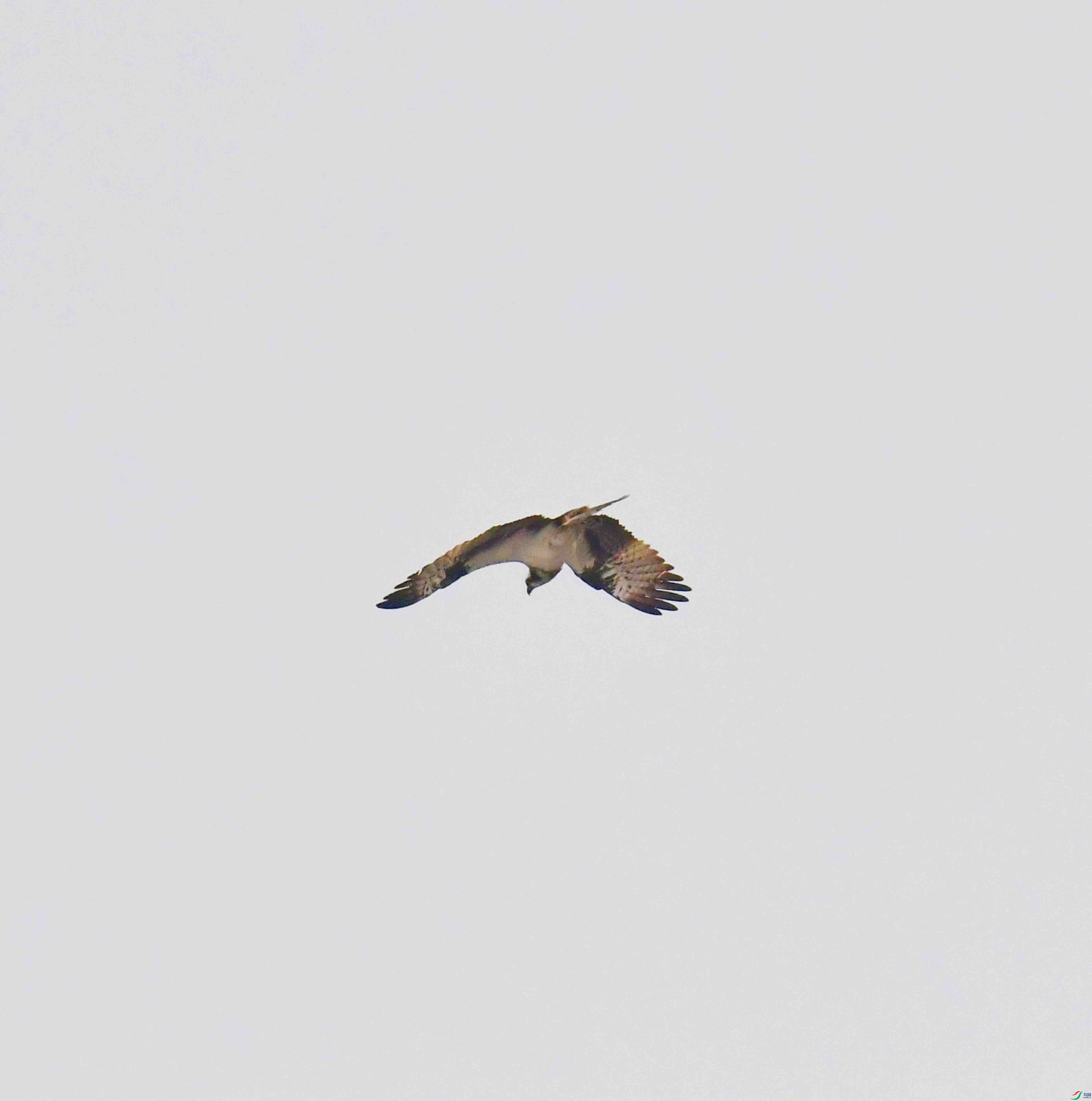DSC_9639.JPG