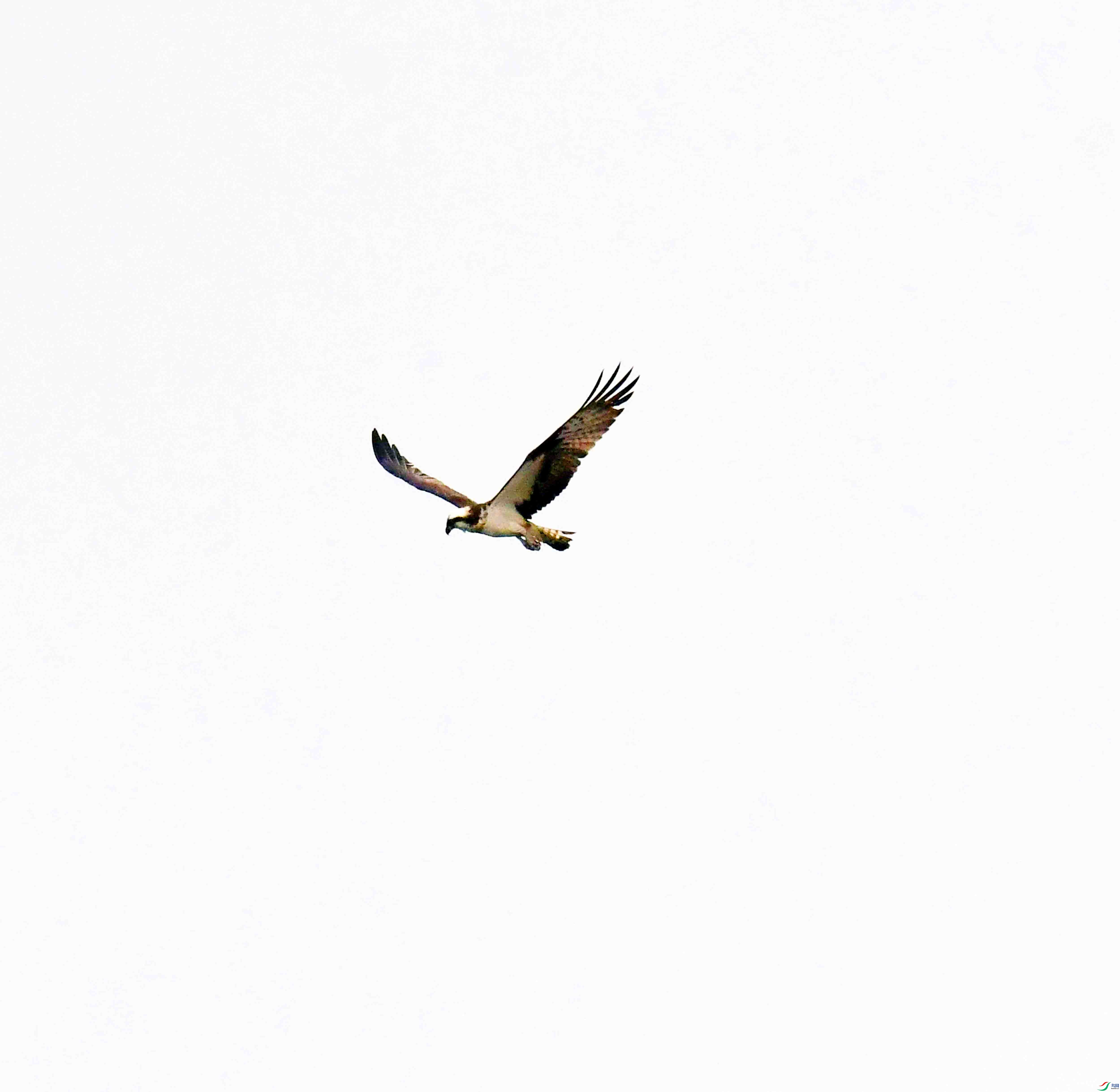 DSC_9651.JPG