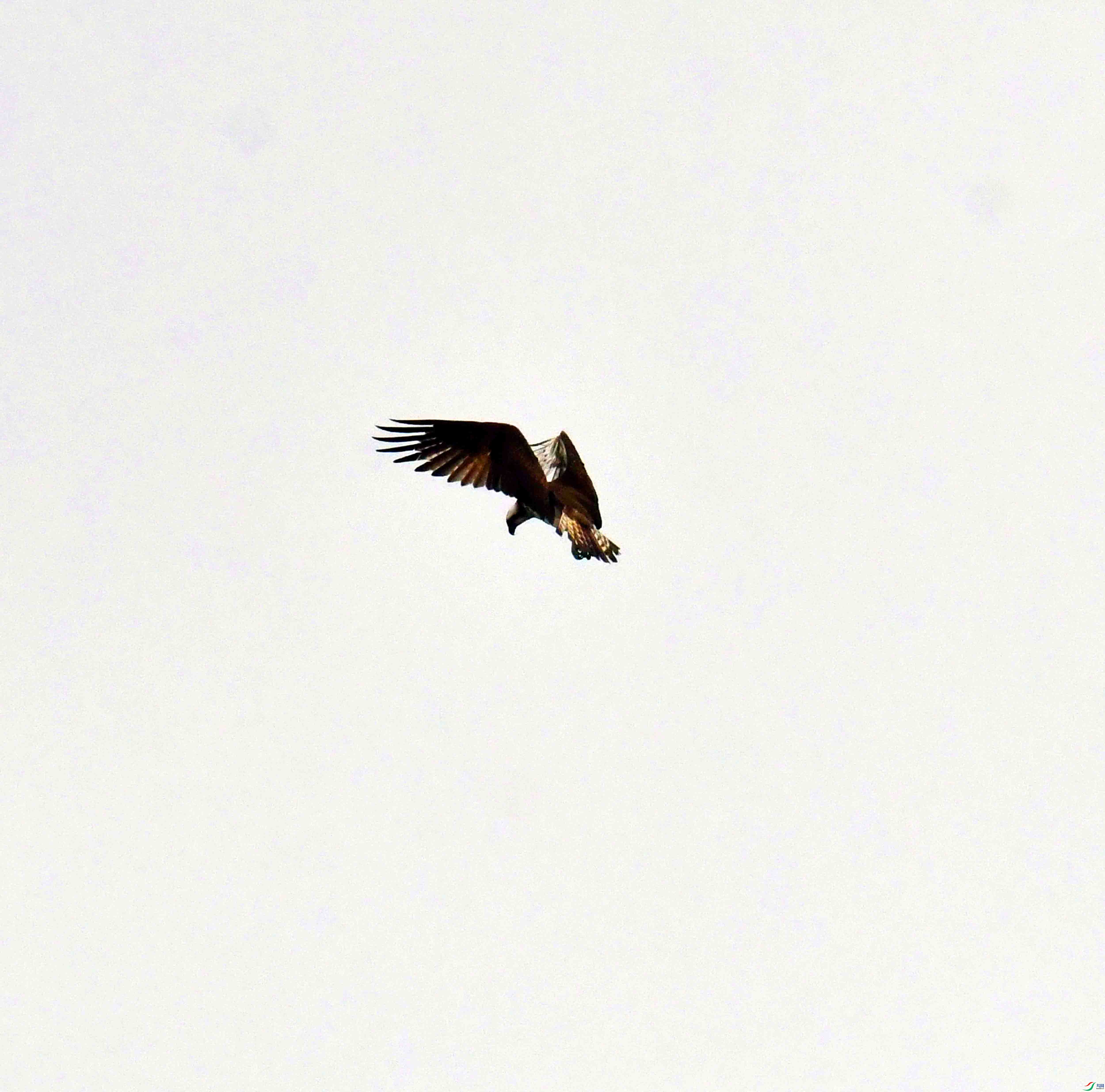 DSC_9658.JPG