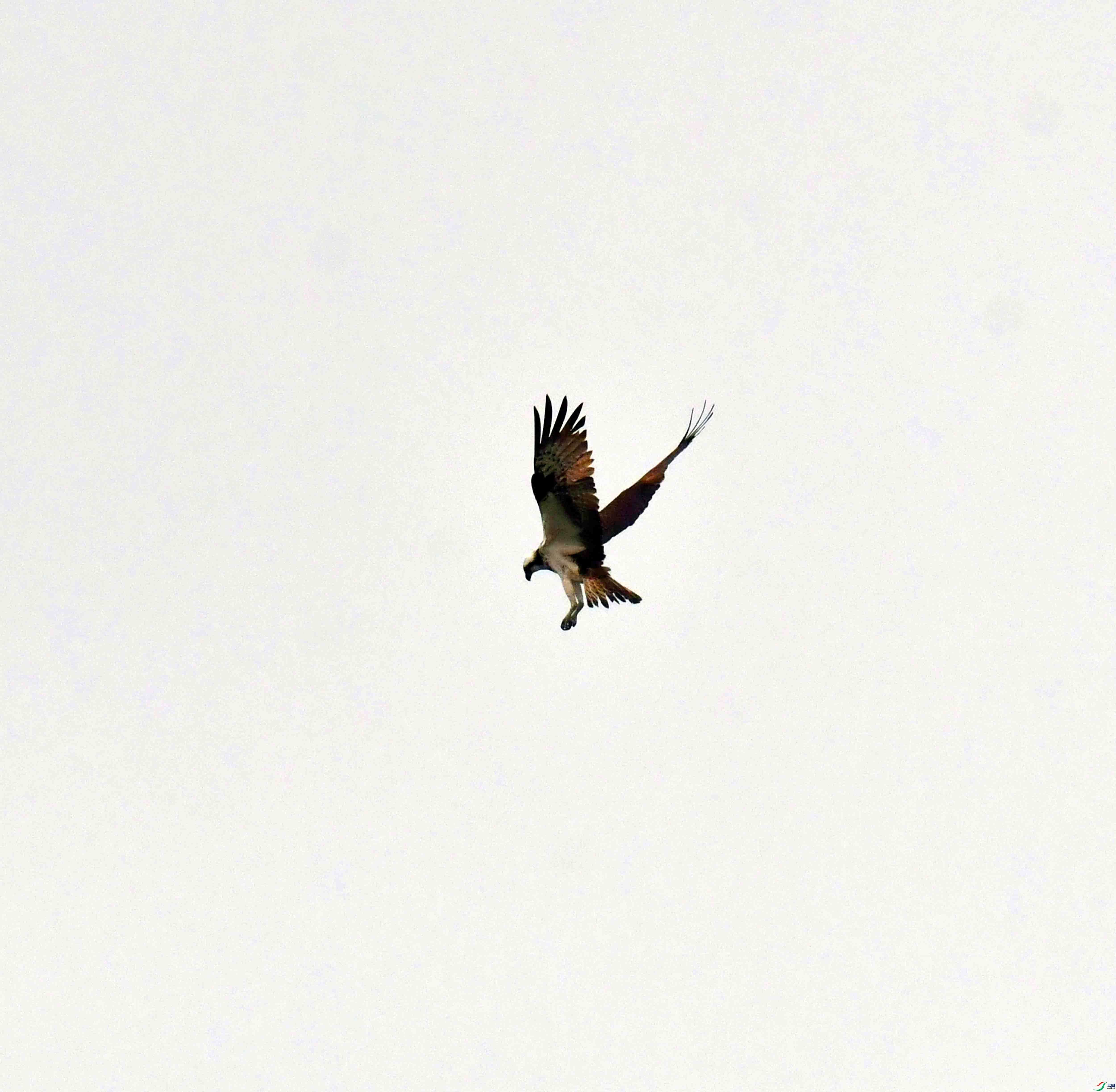 DSC_9659.JPG