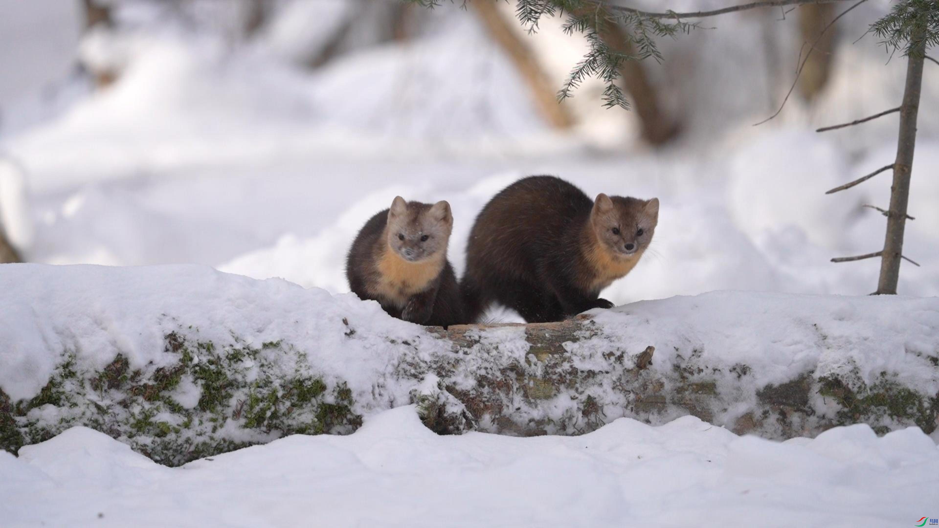 1��6�� (3)-����.jpg