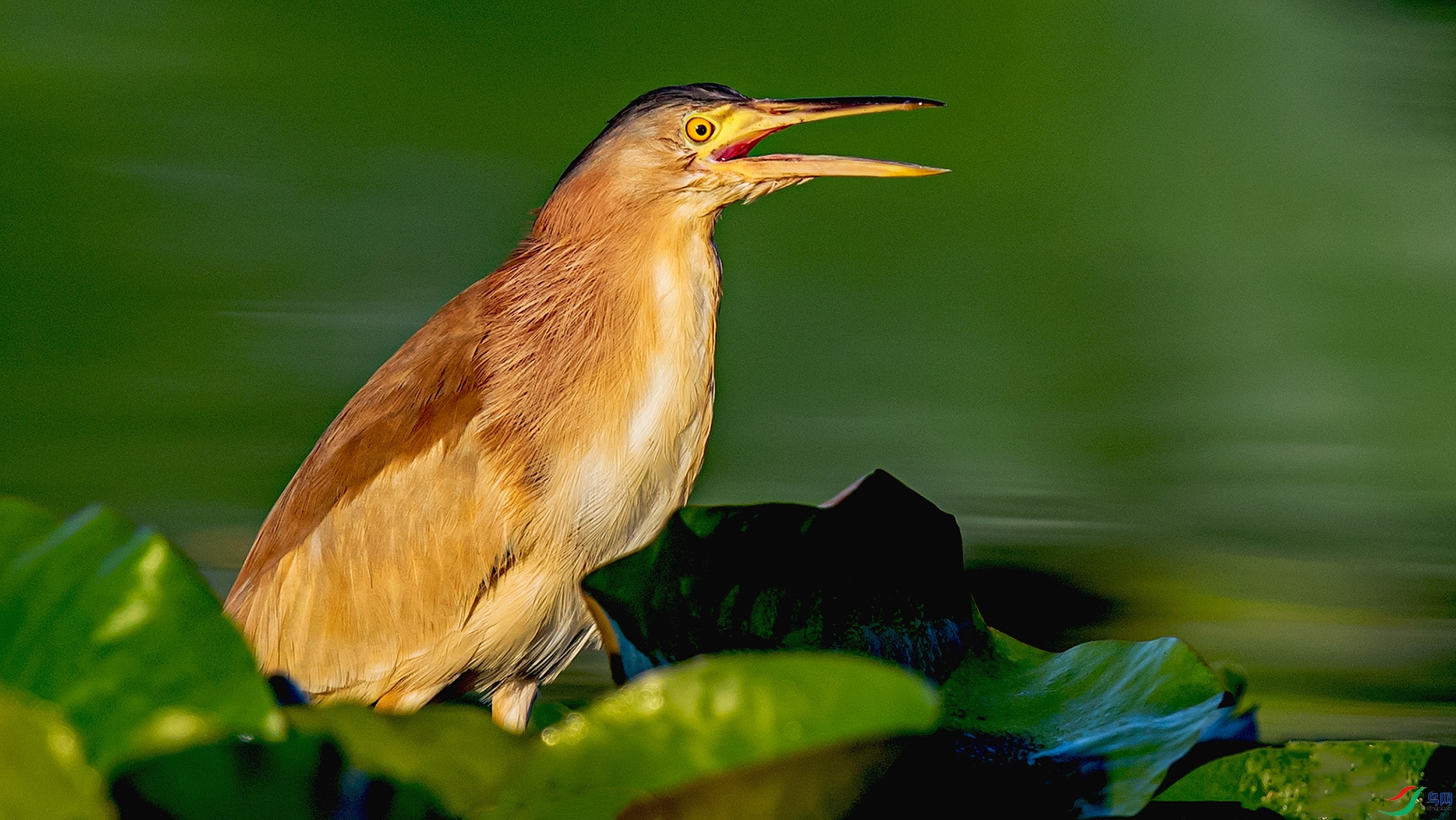 _90I9826 ����.jpg