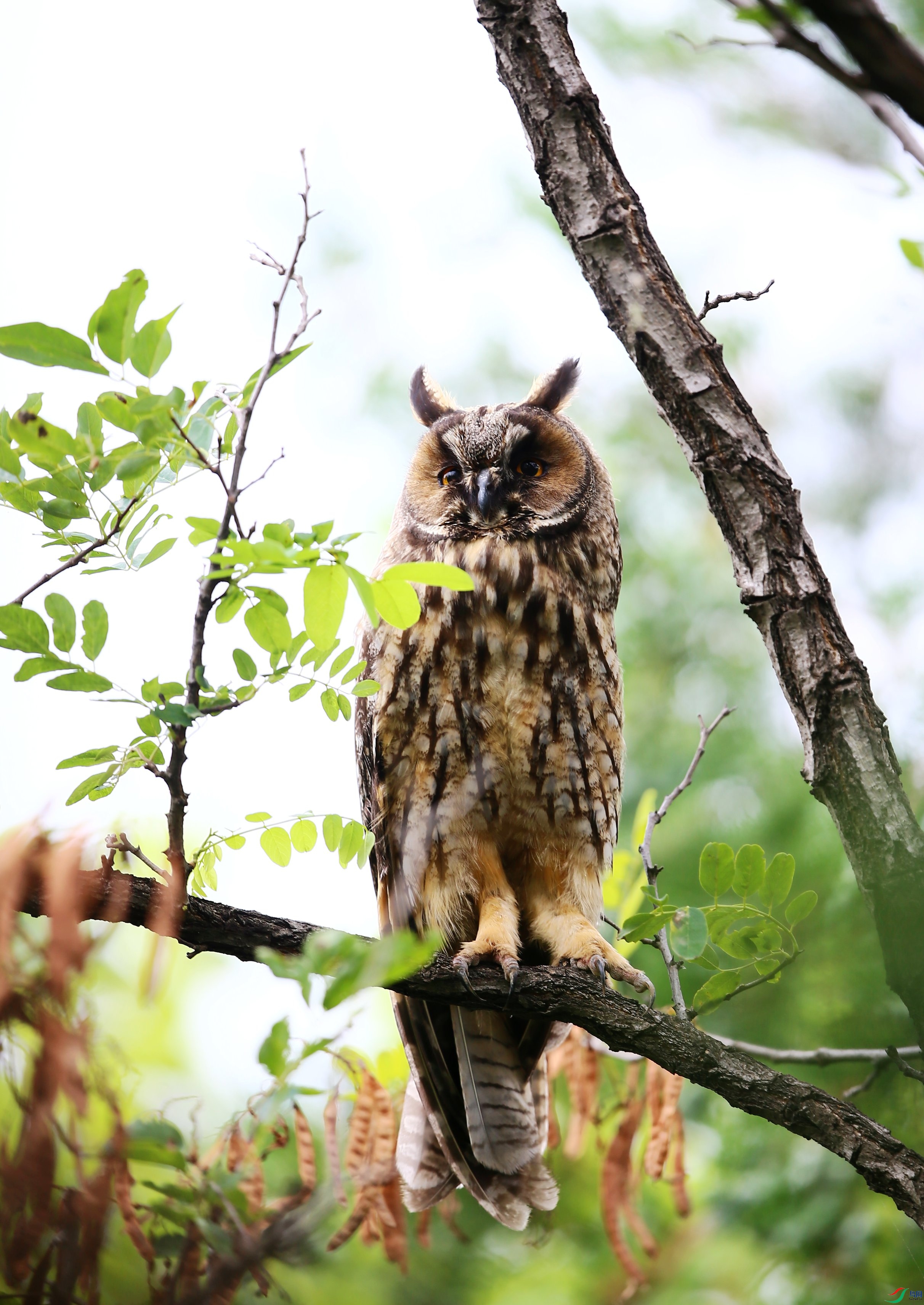 �����^ (32).JPG