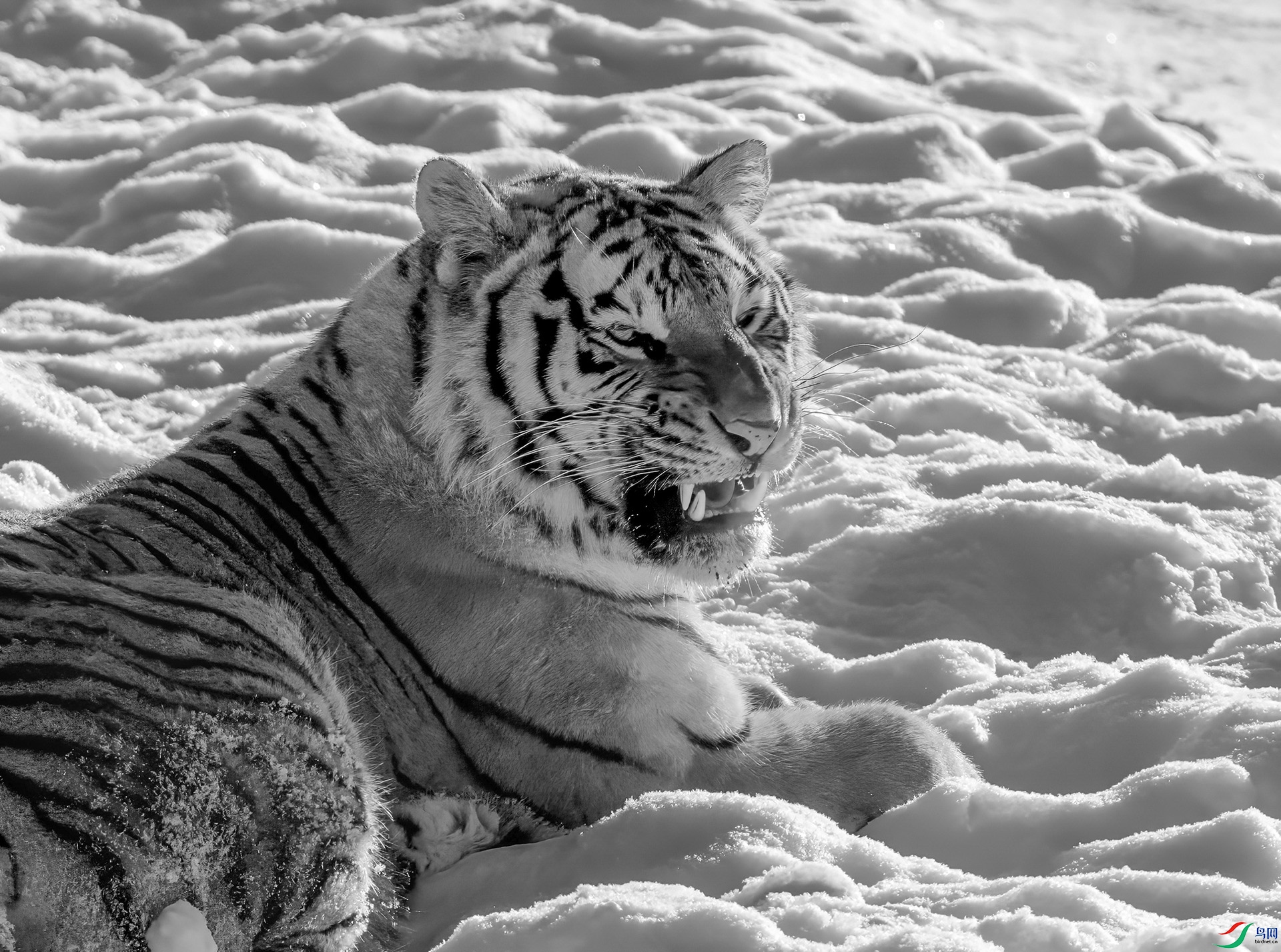 DSC_0090 (2) ���� 2.jpg