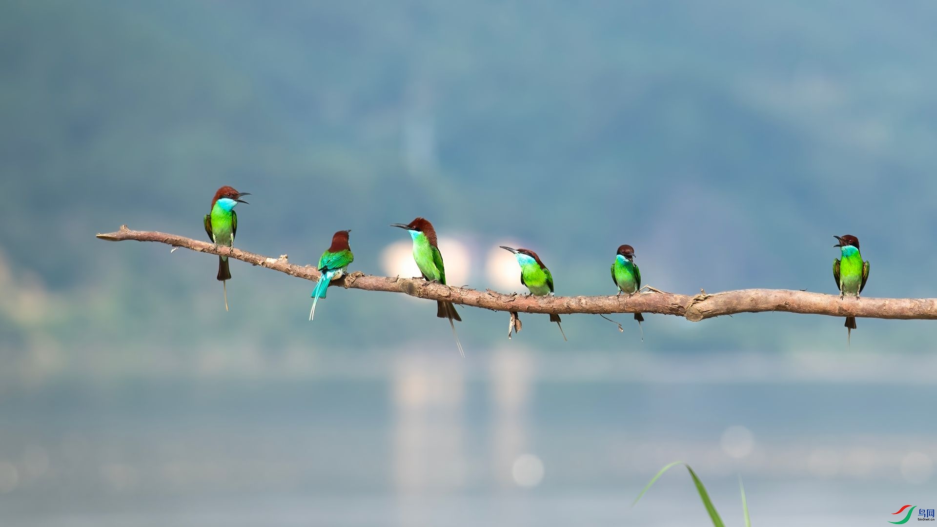 _DSC6425 ����.jpg