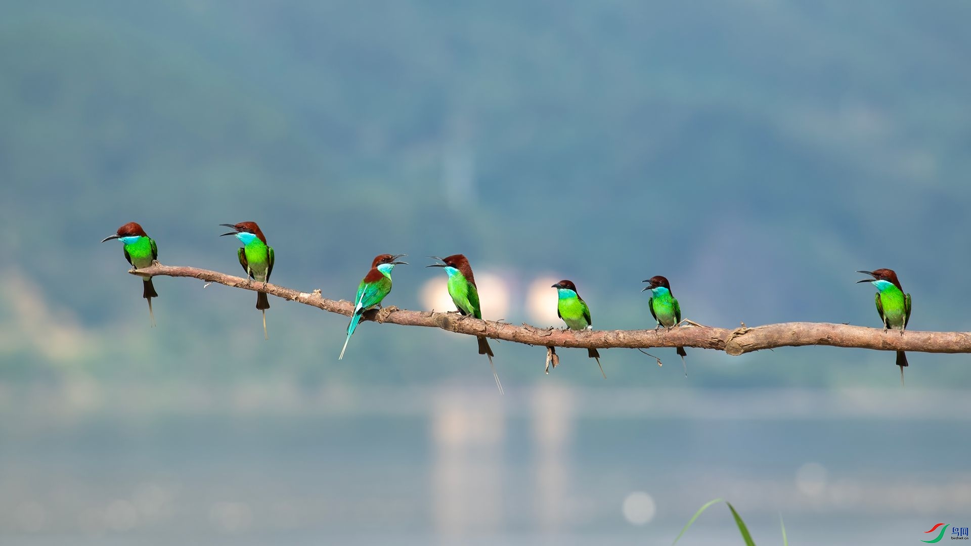 _DSC6451 ����.jpg