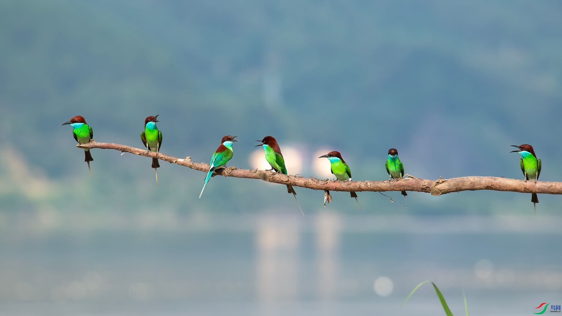 _DSC6456 ����.jpg