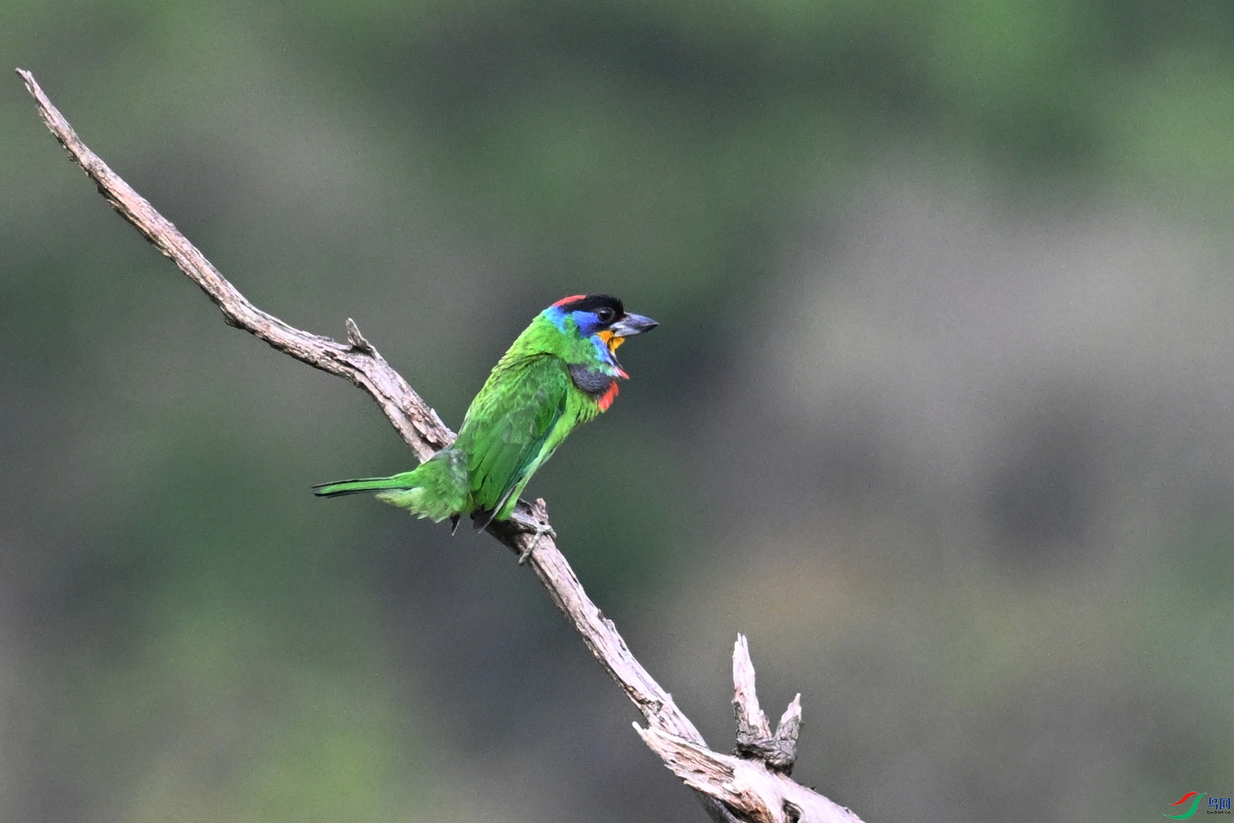 DSC_0274.JPG