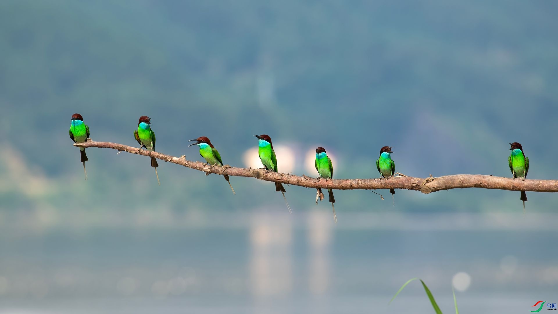 _DSC6489 ����.jpg