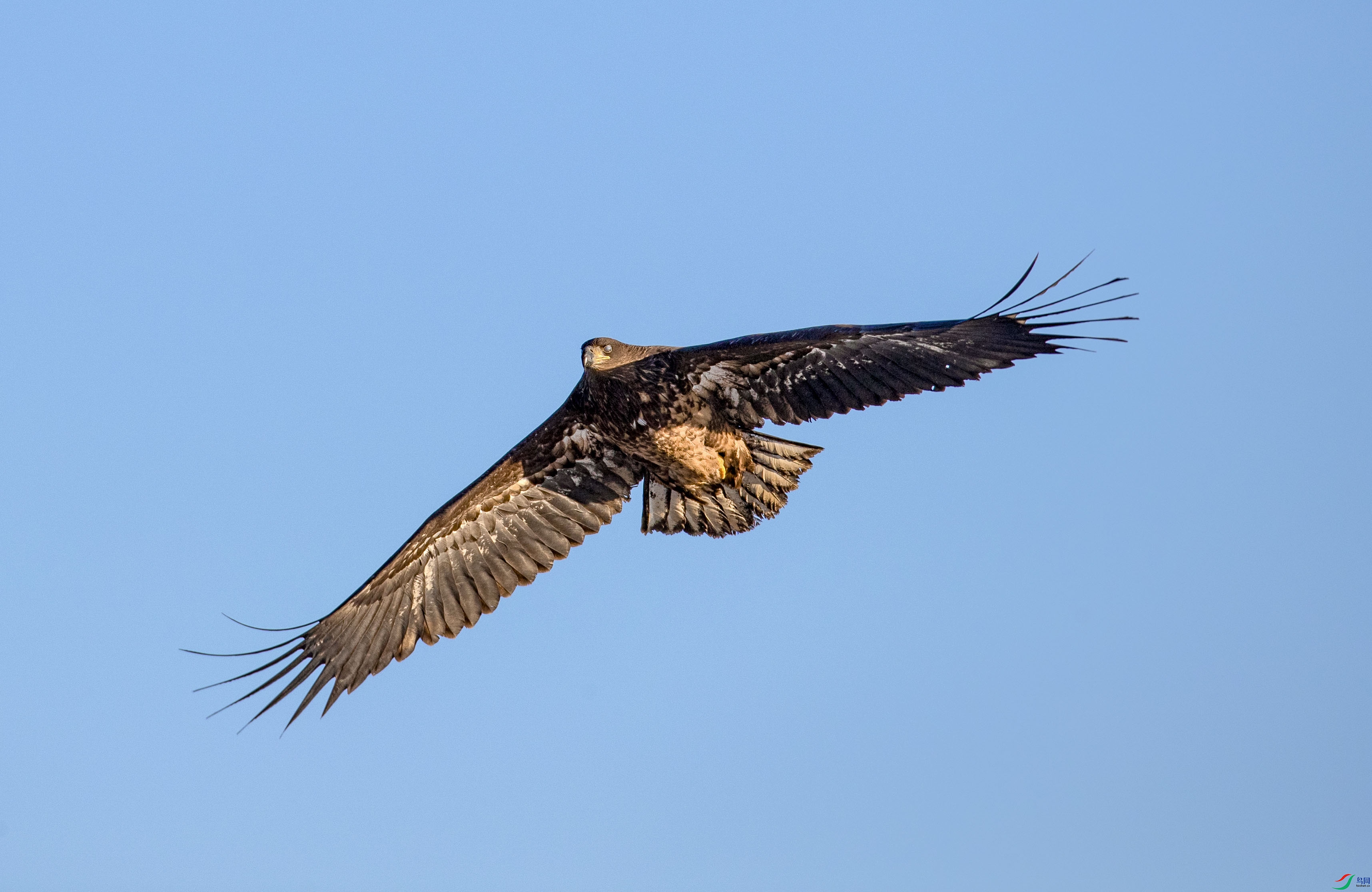 A79I1634 ����.jpg