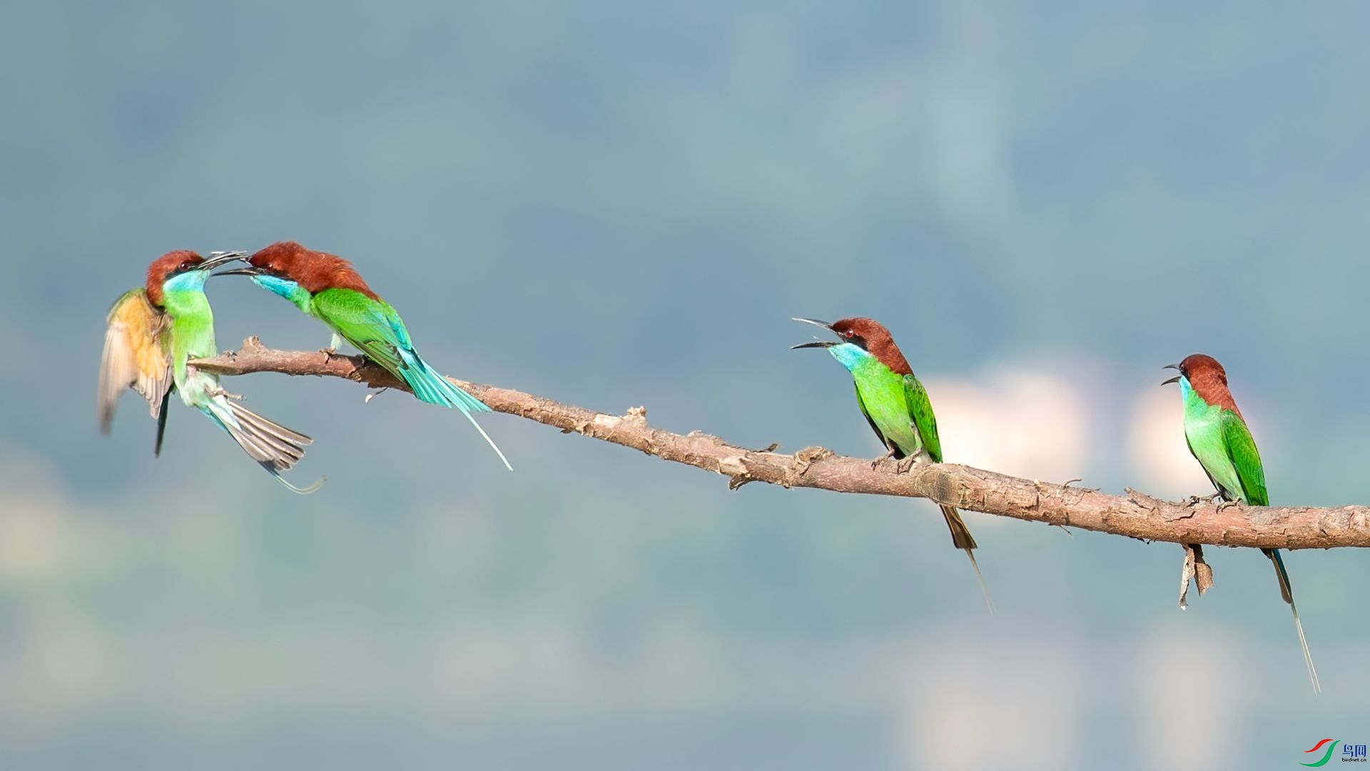 _DSC6581 ����.jpg