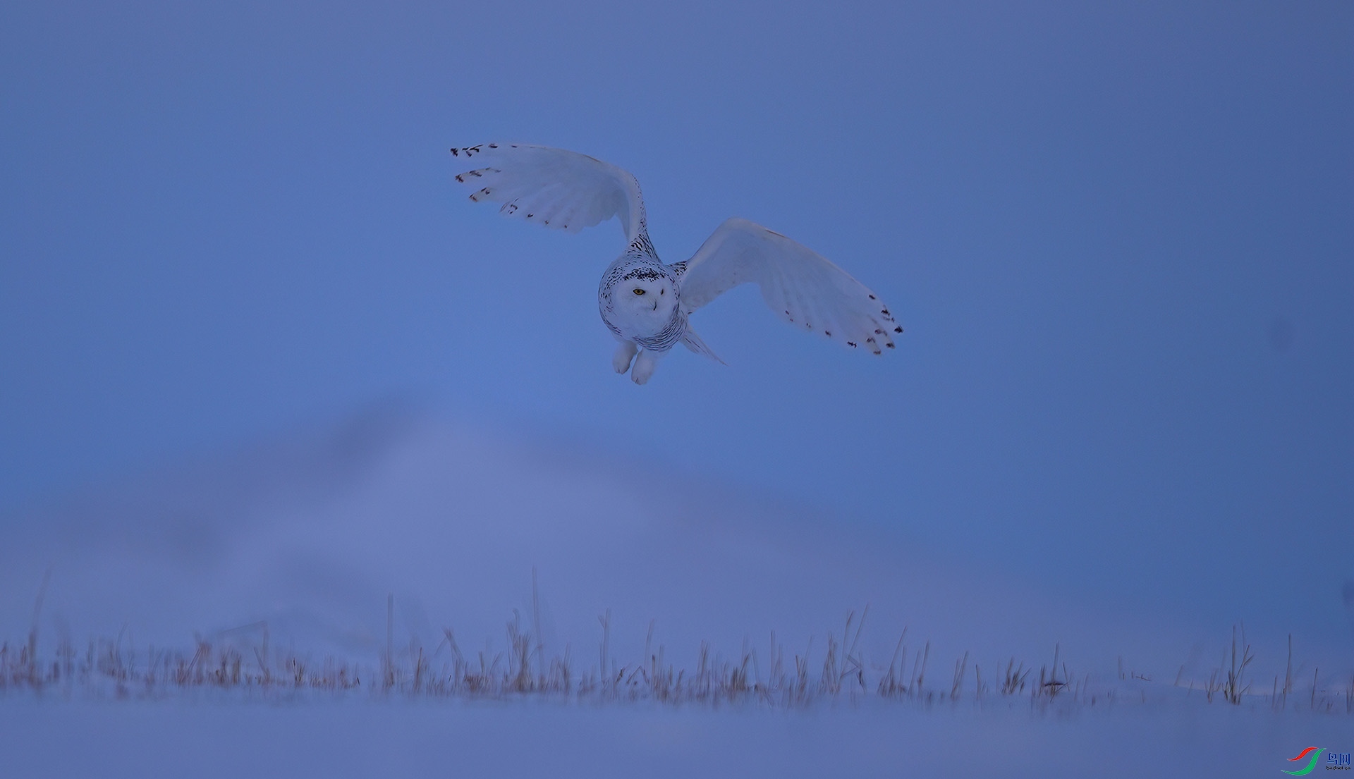 DSC05773-DeNoiseAI-low-light_���� ����.jpg