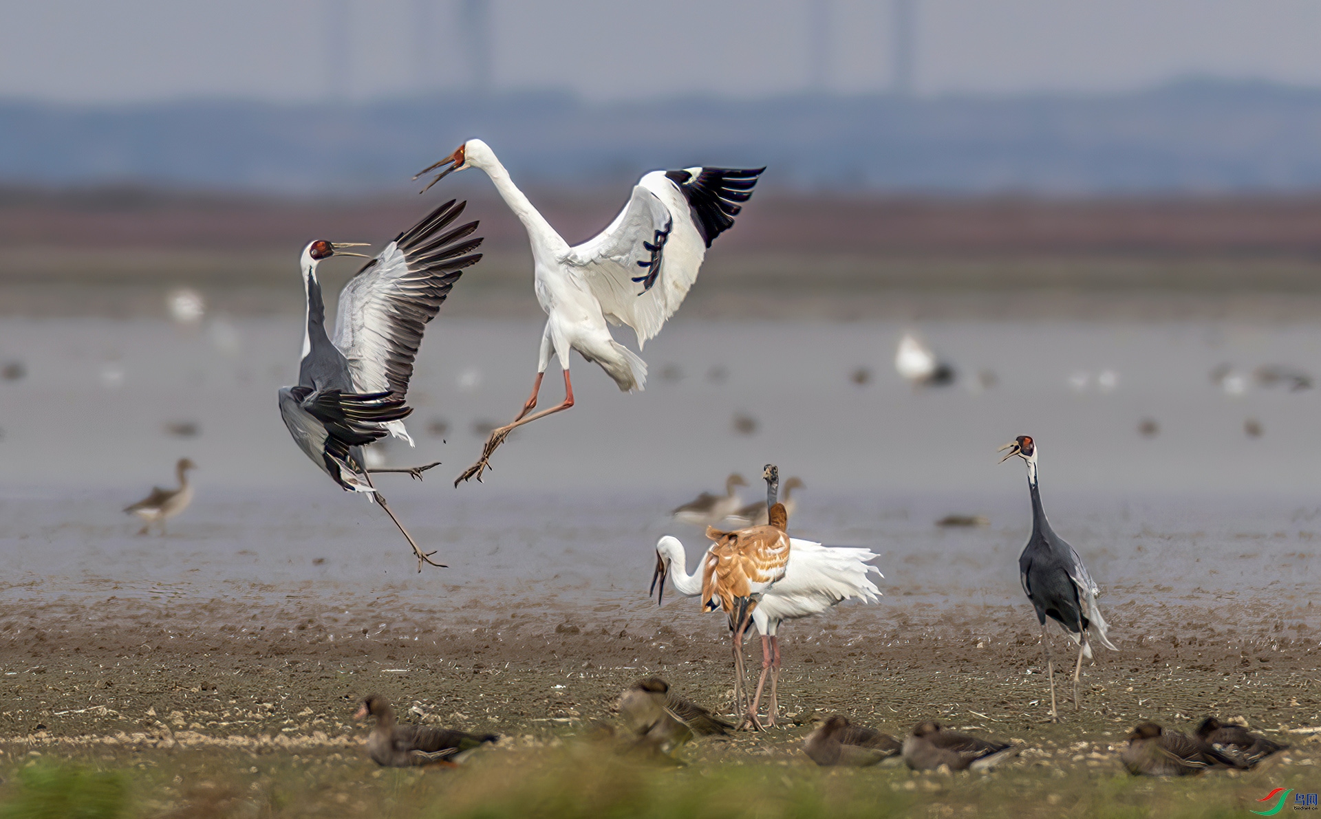 407A9492-----33  .jpg