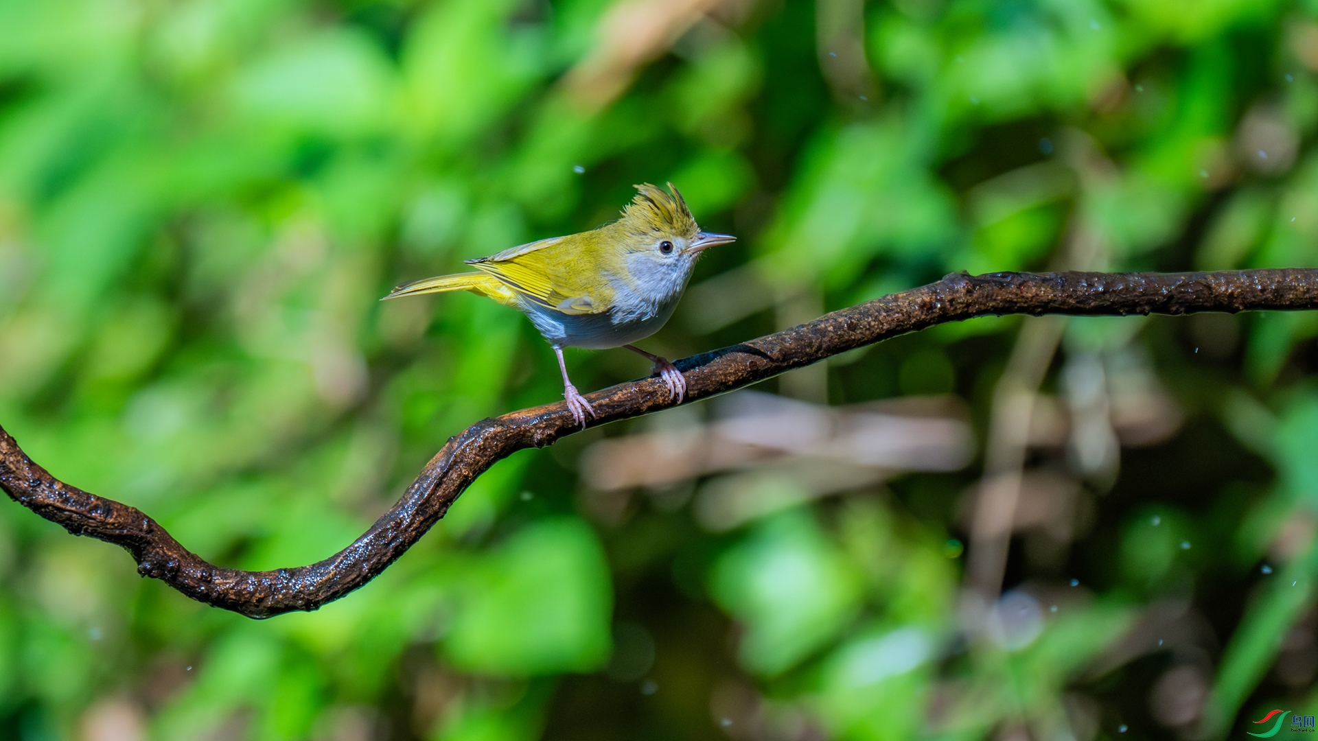 DSC_7536 ����_����.jpg