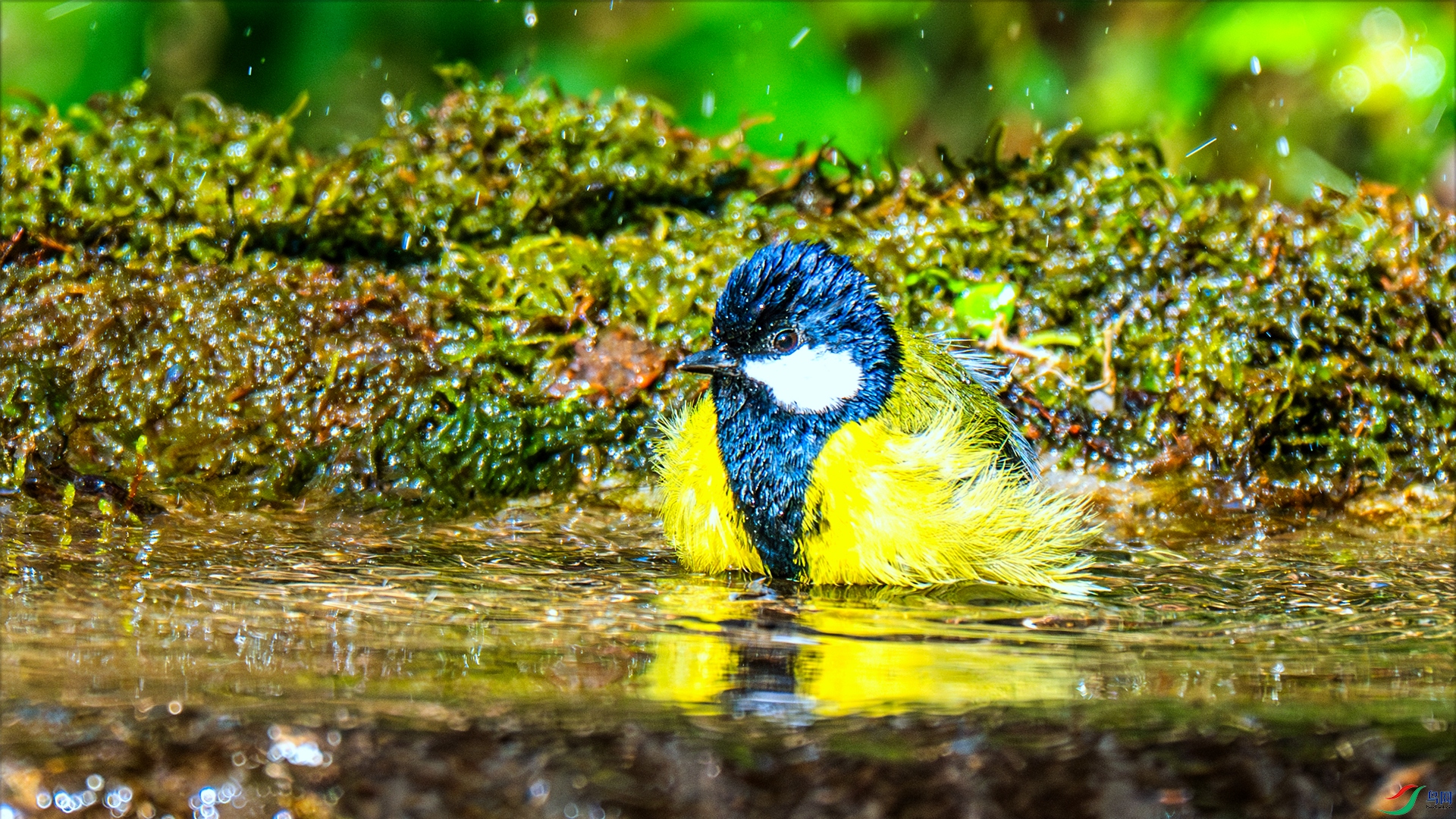 DSC_7789 ����_����.jpg