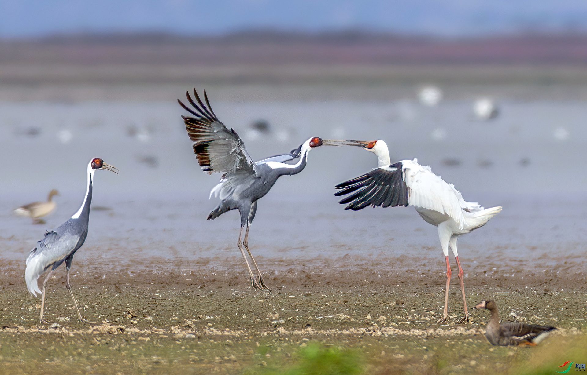 407A9362----33  .jpg