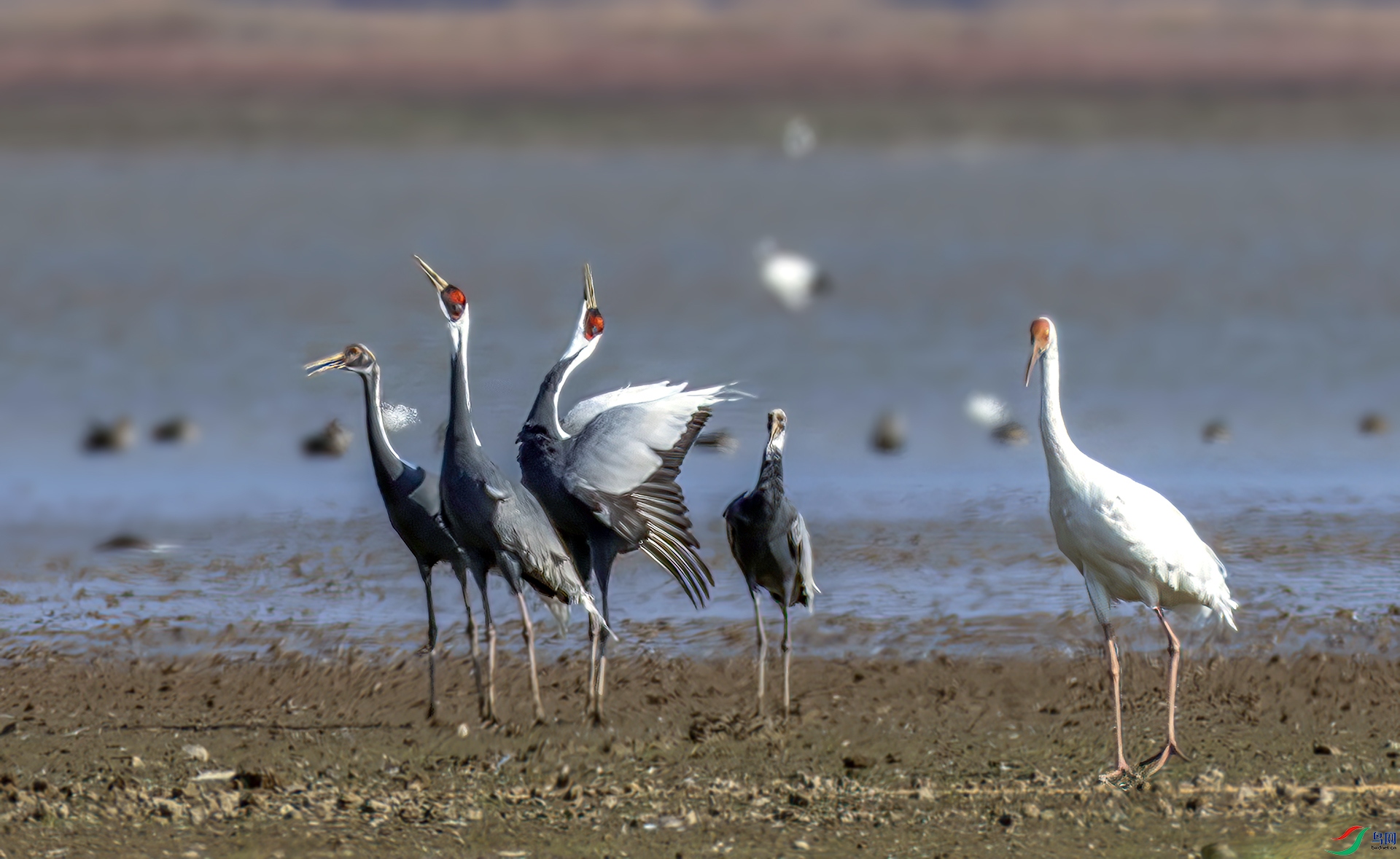 407A7022----33  .jpg