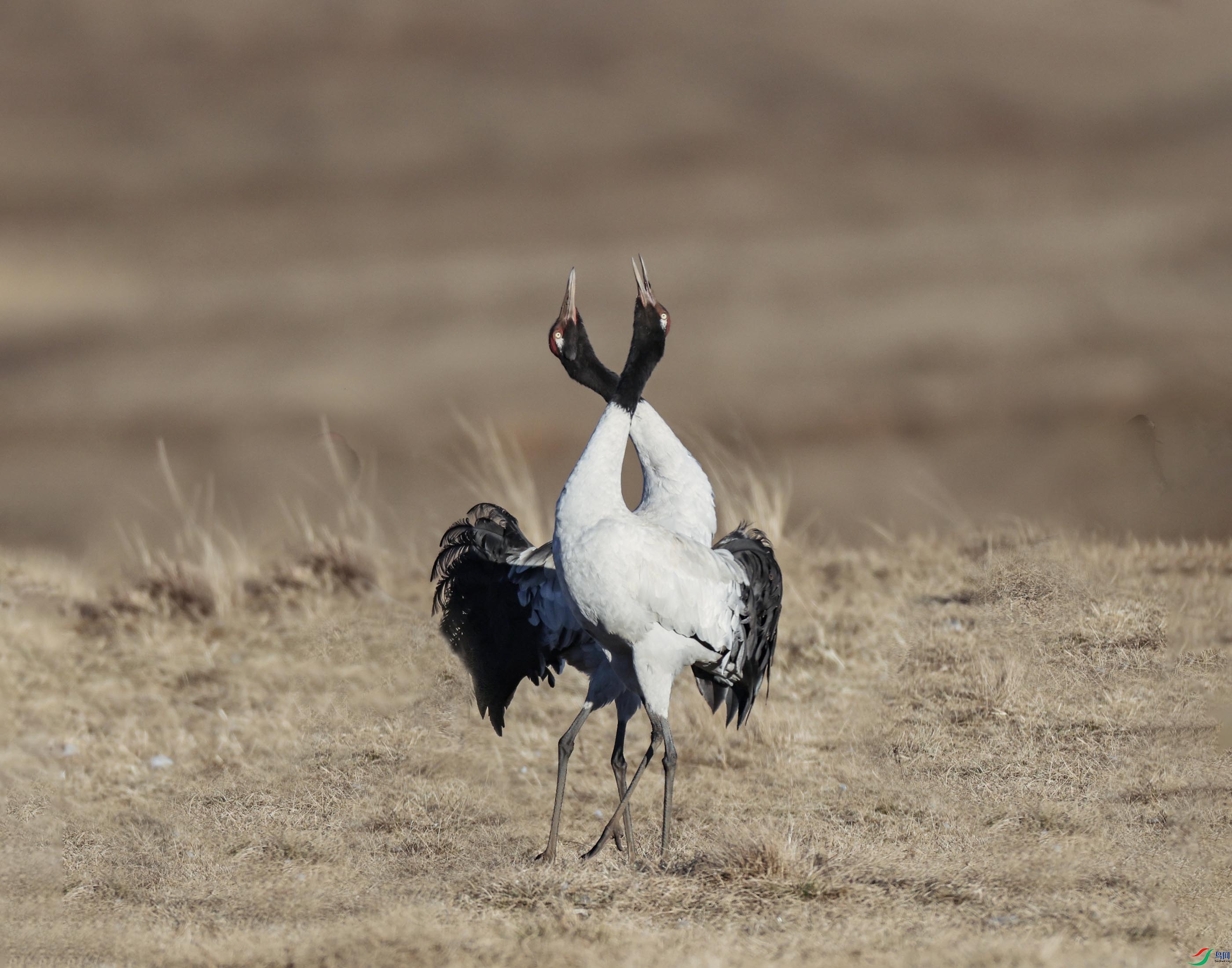 7M0A6440 �������������2.jpg