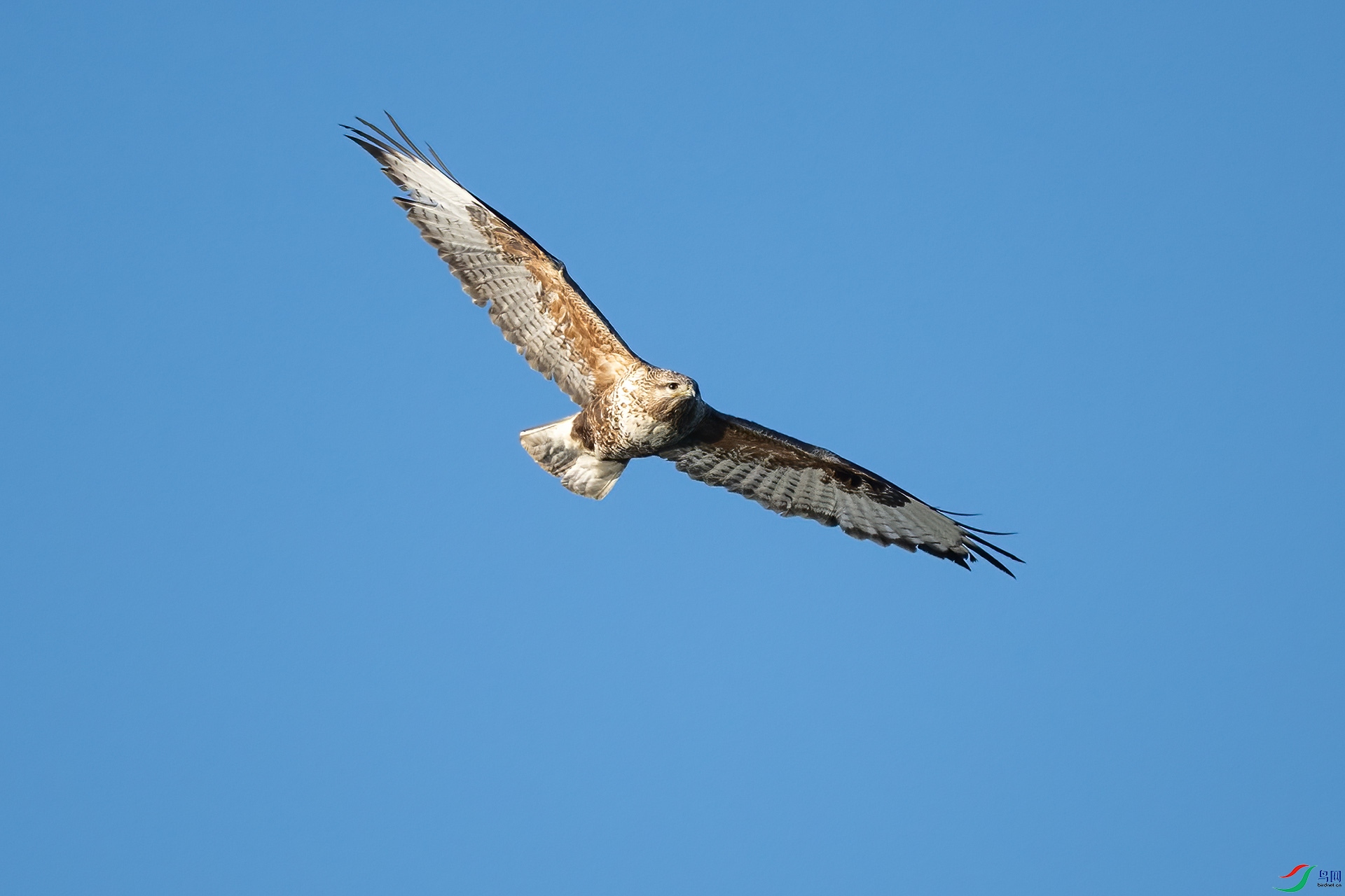 _DSC9092-.jpg