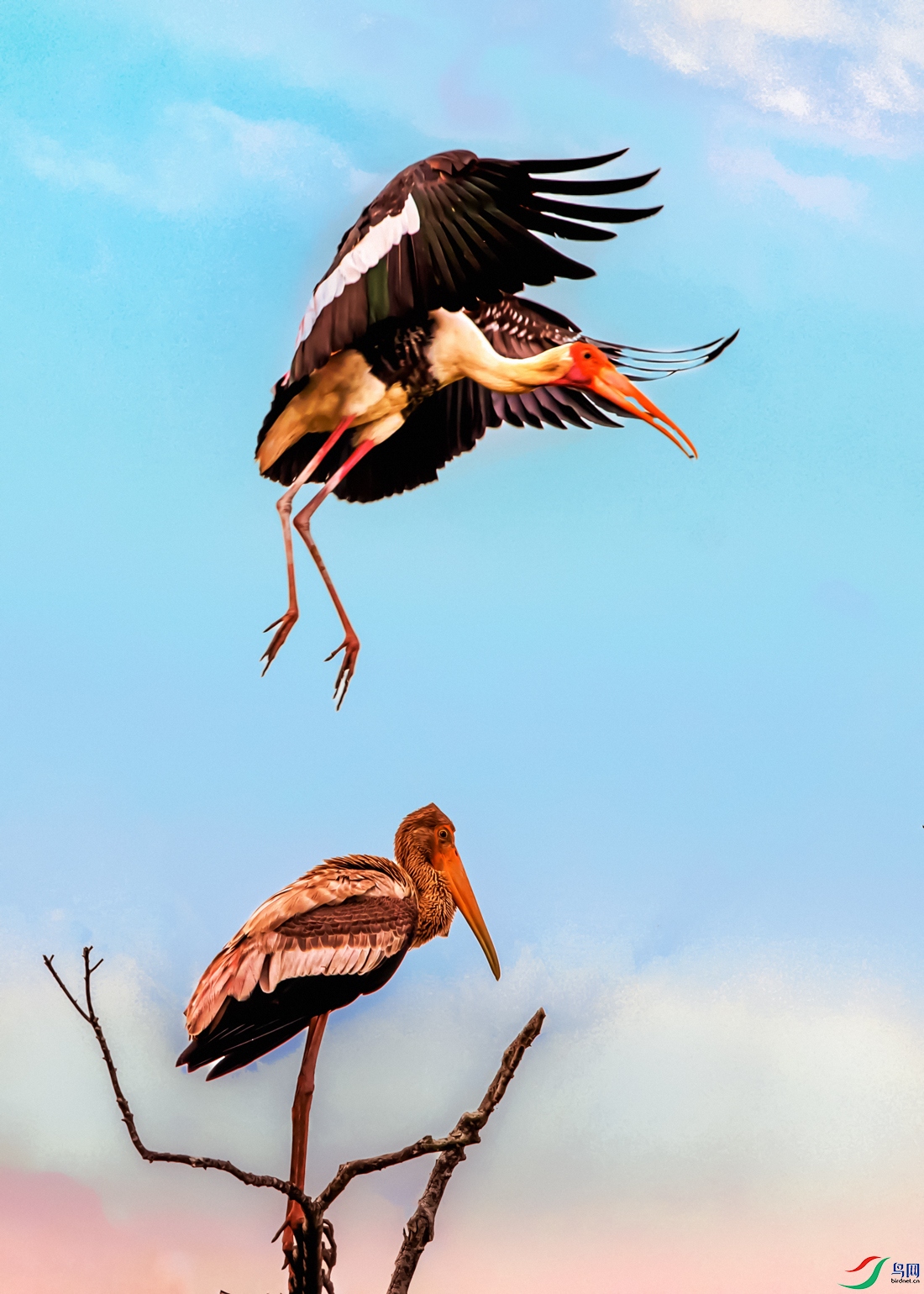 ����----����ĸ��