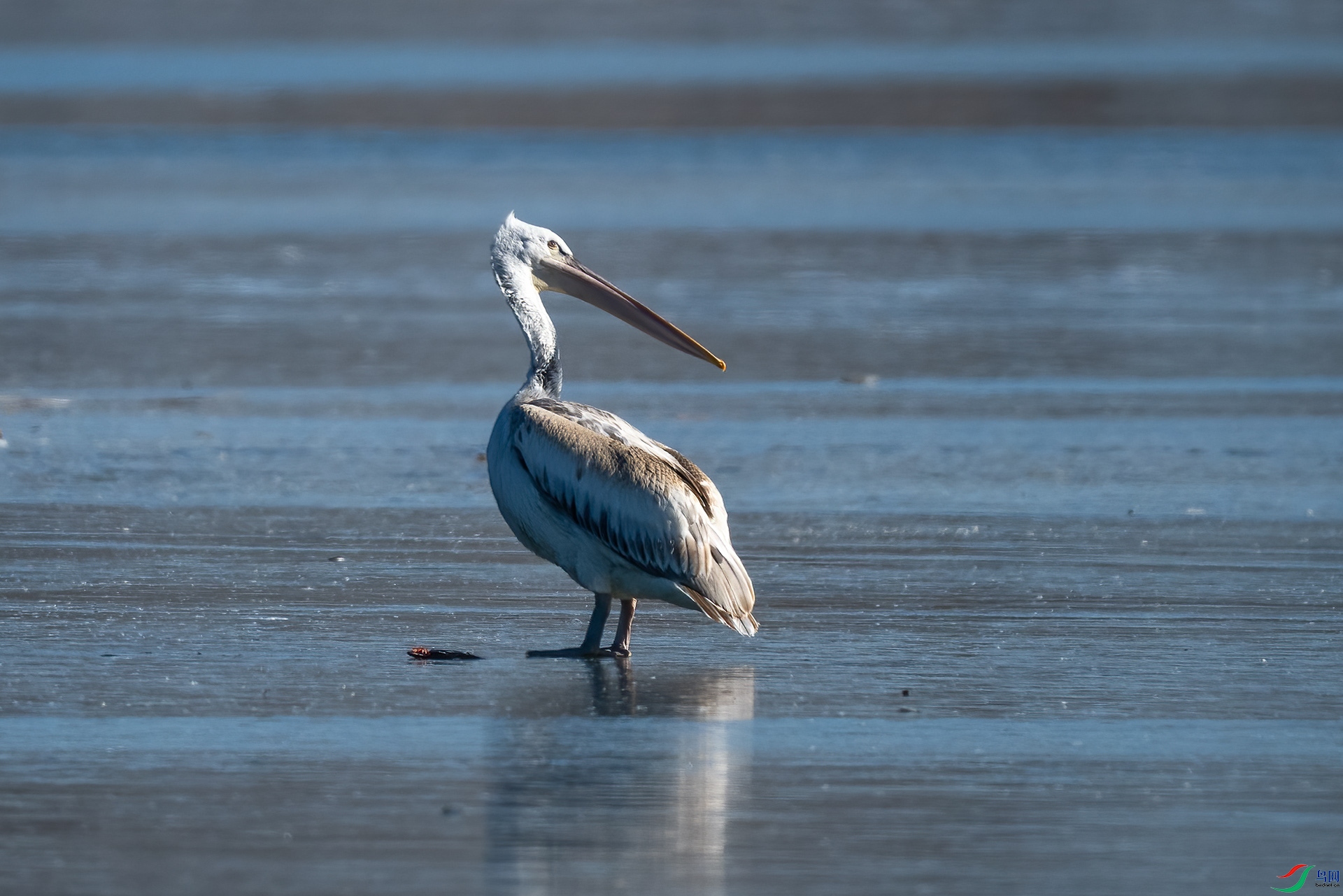 _DSC9488-.jpg