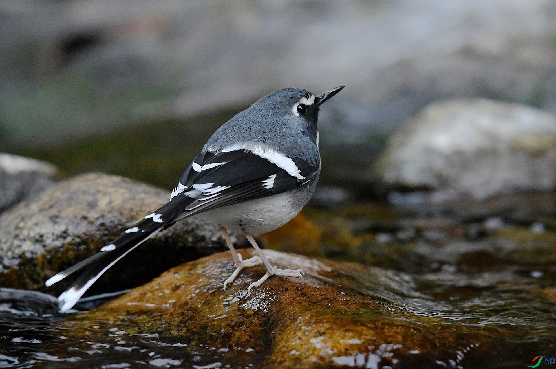 DSC_2939.jpg