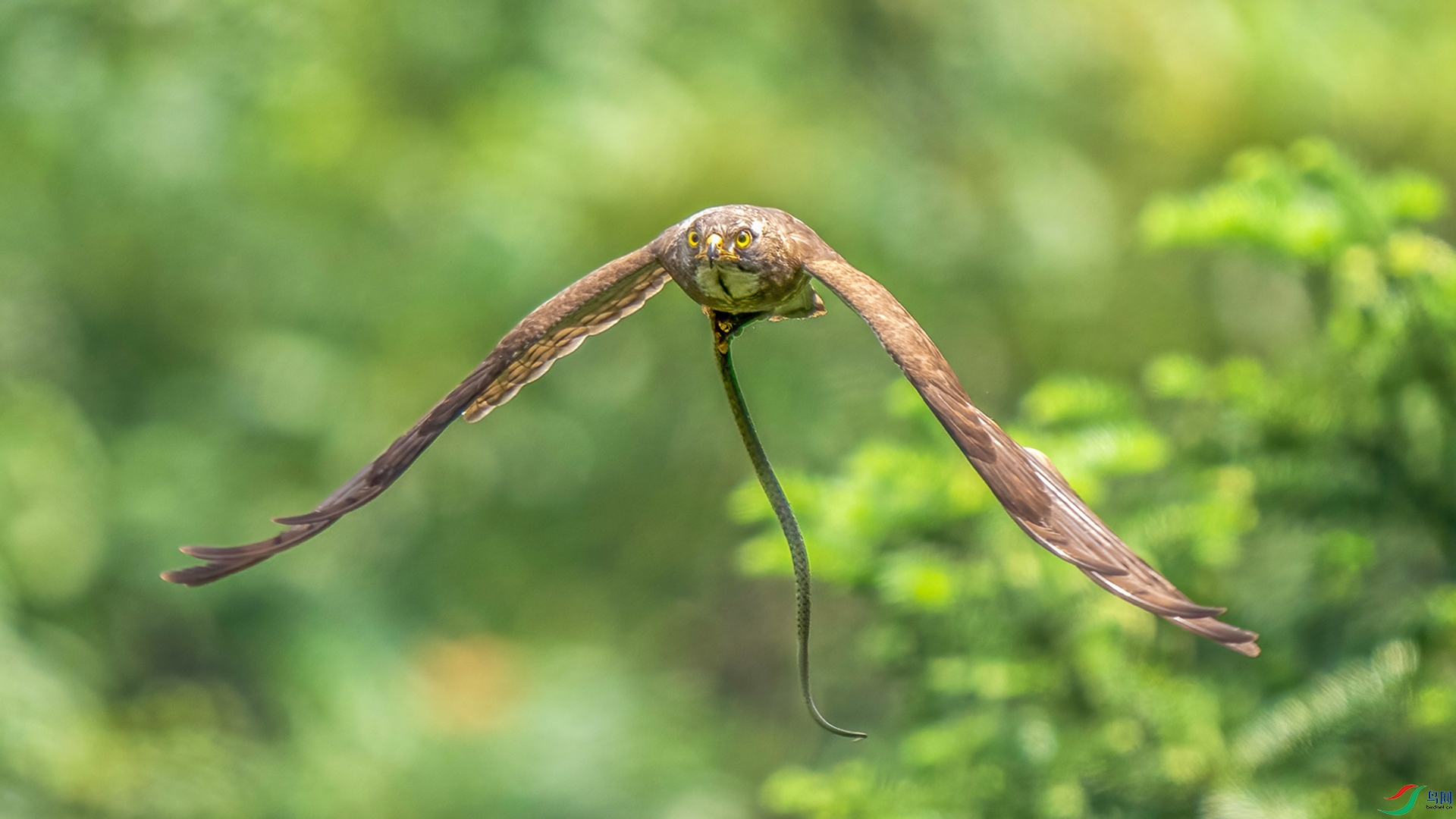 DSC08160 ���� 2.jpg