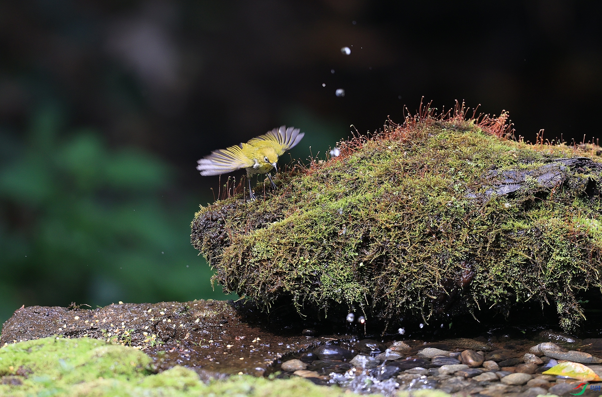 AK1I65426�� ��2.JPG