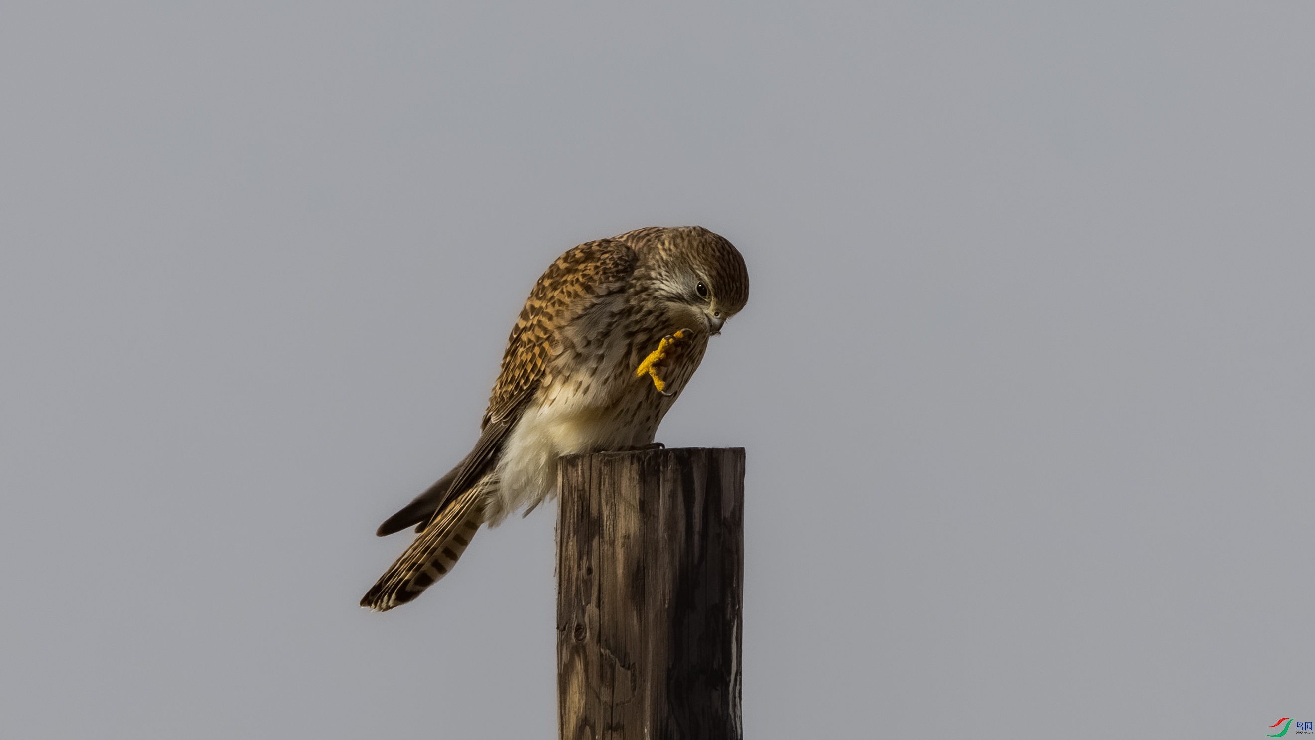 _O7A0460 ����.jpg