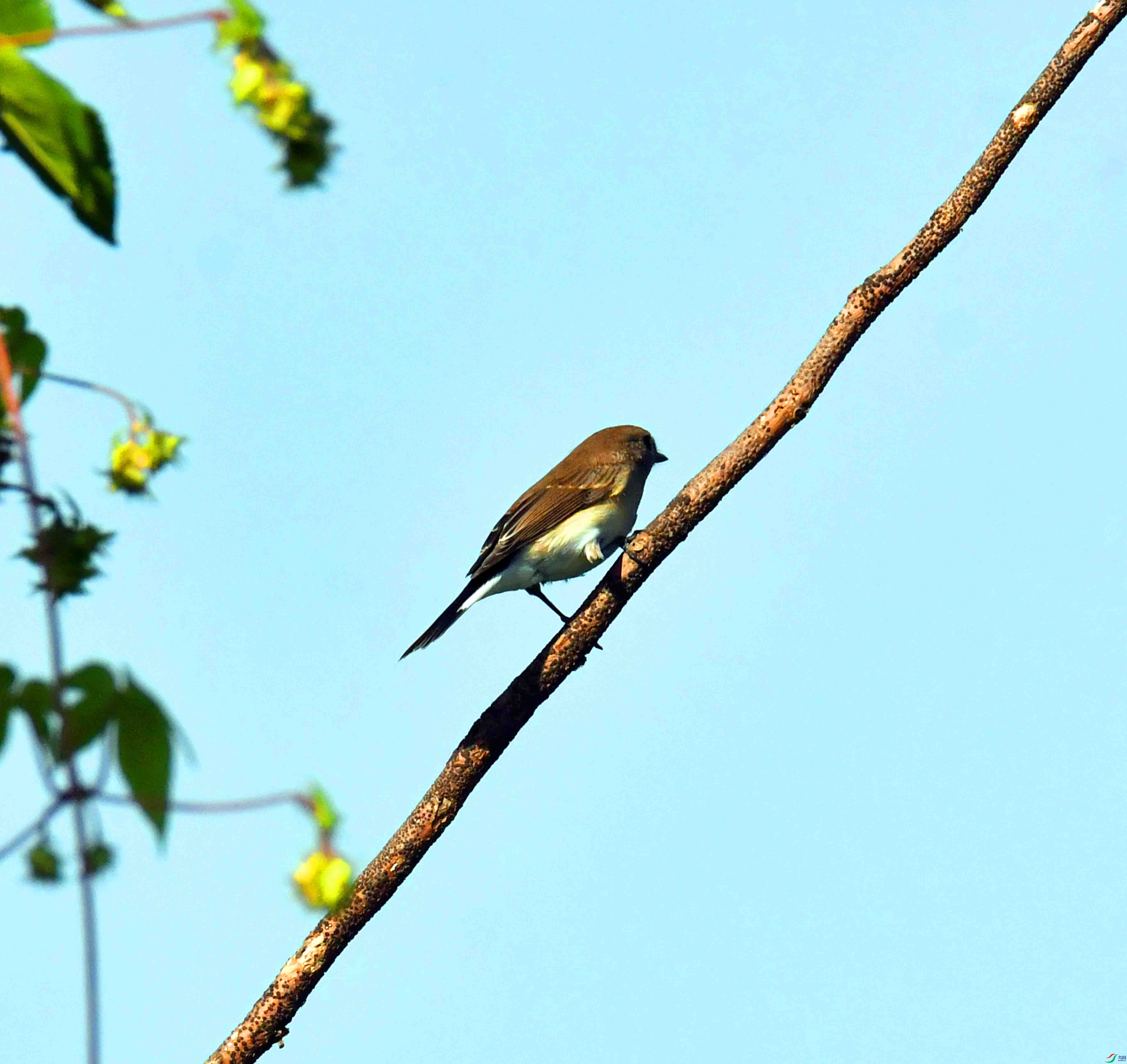 DSC_4370.JPG