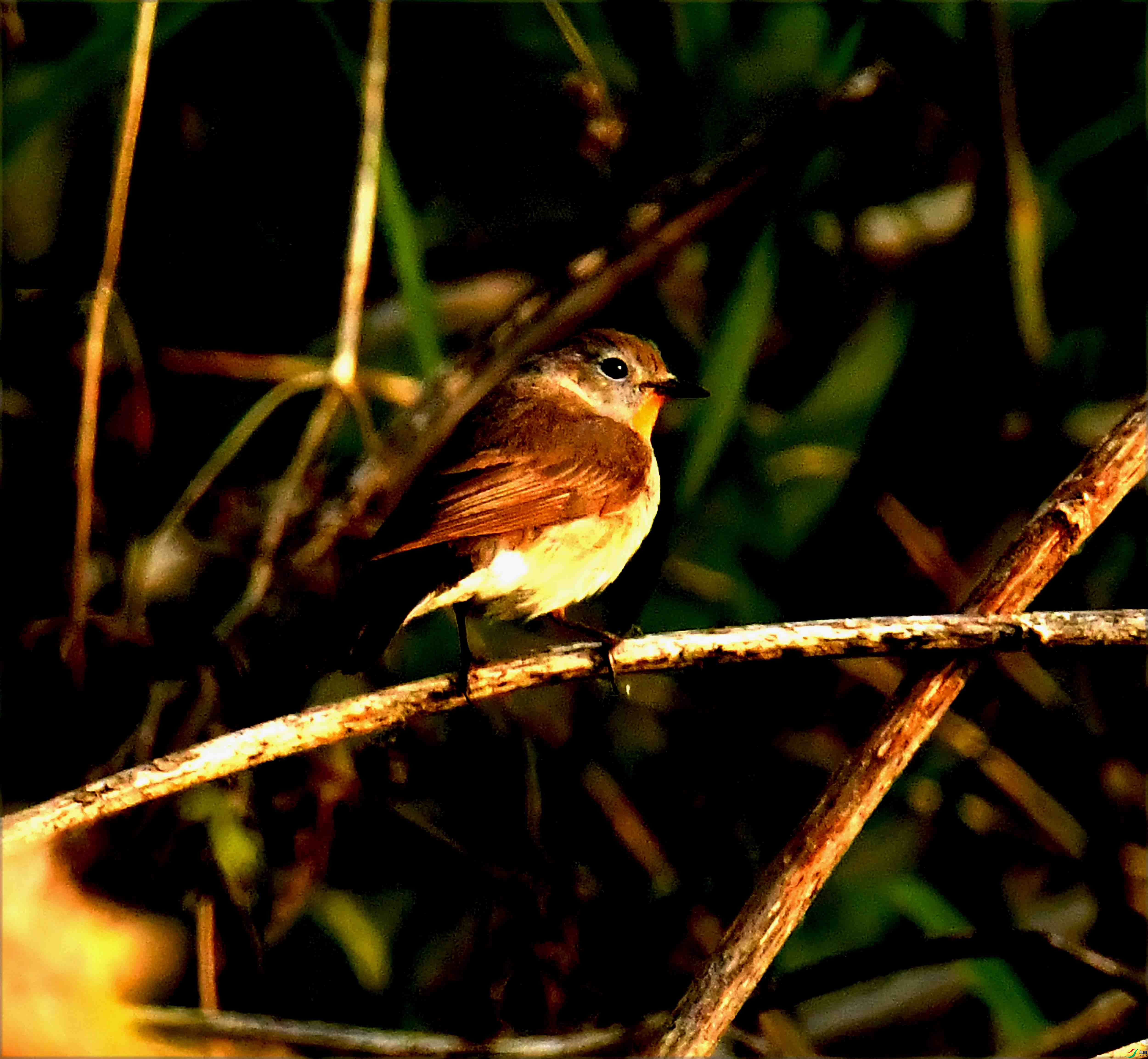 DSC_5847.JPG