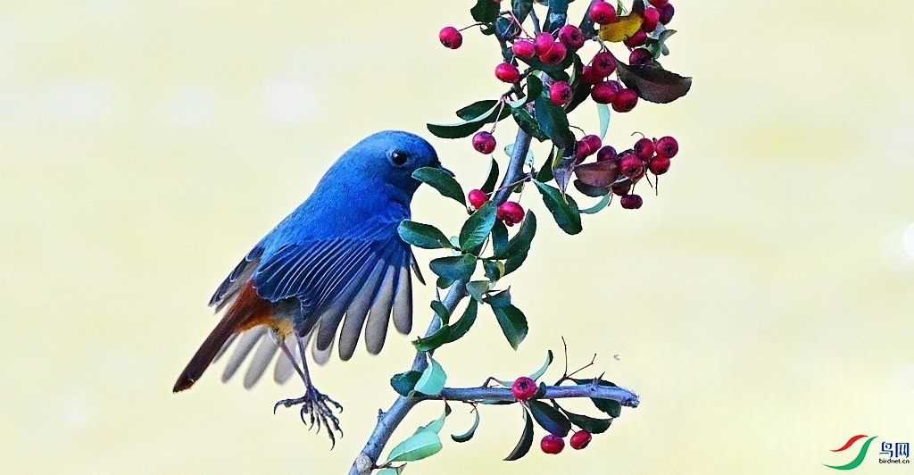 DSC_0759 - ����.JPG