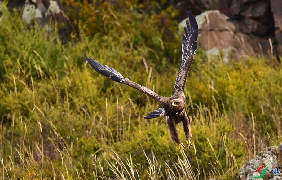 ��Զ����