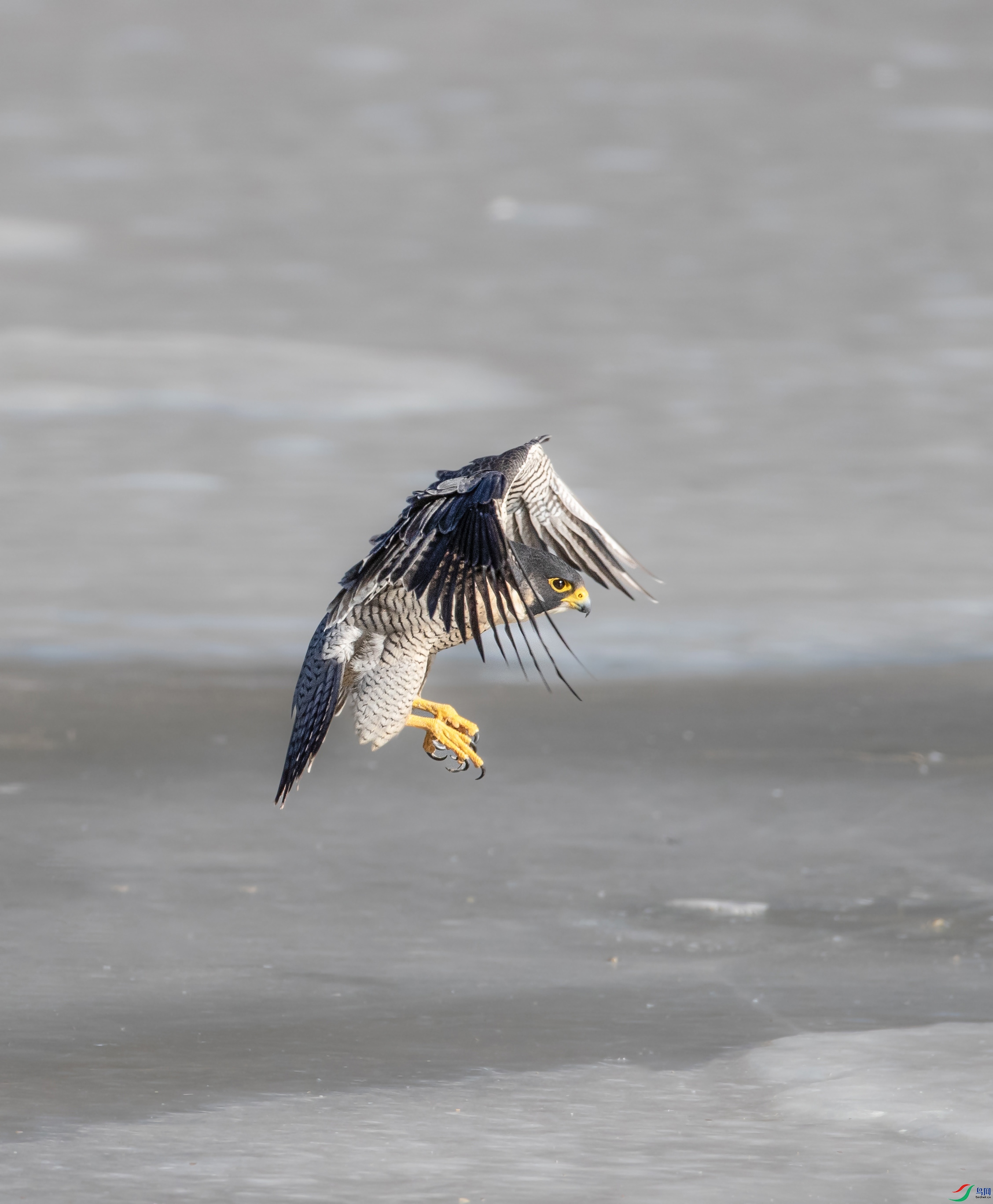 A79I3659 ����.jpg