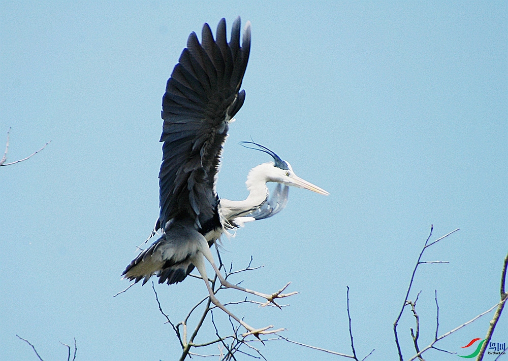 IMGP7403_����.jpg