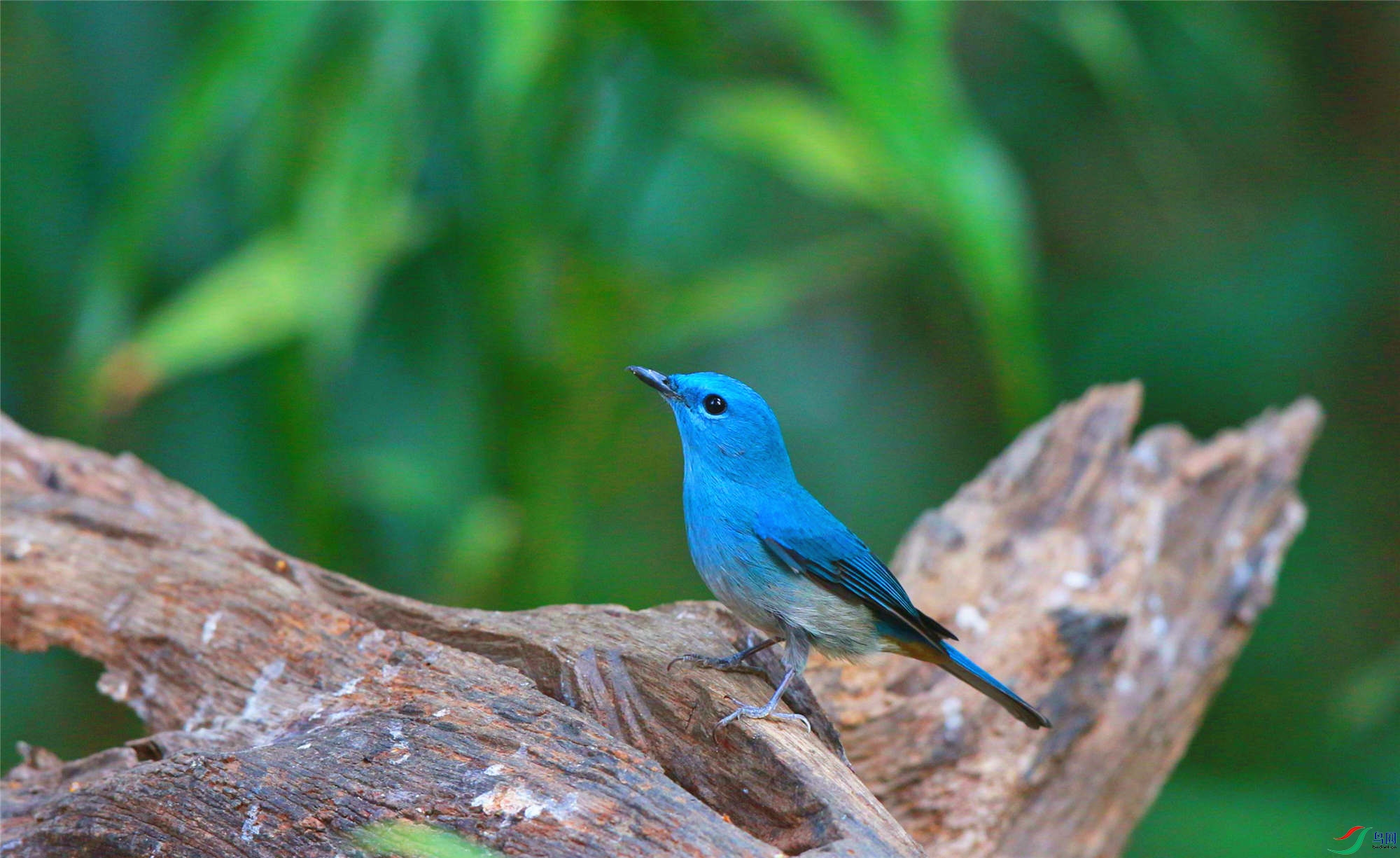 H46R7370_����_���� (2).jpg